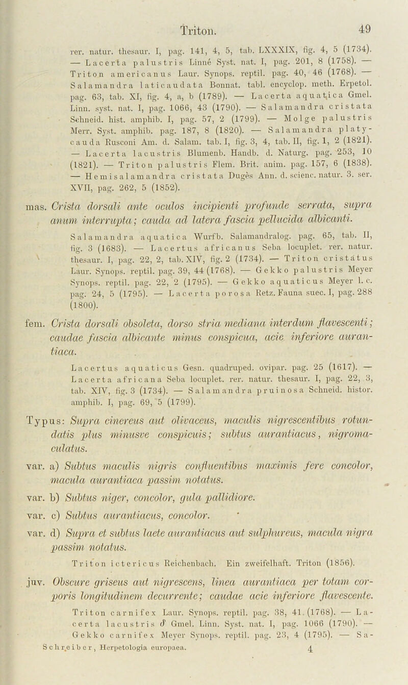 ver. natur. thesaur. I, pag. 141, 4, 5, tal). LXXXIX, lig. 4, 5 (1734). — Lacerta palustris Linue Syst. nat. I, pag. 201, 8 (1758). Triton americanus Laur. Synops. reptil. pag. 40, 46 (1768). Salamandra 1 at ioaud a t a Bonnat. tabl. encyclop. meth. Erpetol. pag. 63, tab. XI, fig. 4, a, b (1789). — Lacerta aquat^ica Gniel. Linn. .syst. nat. I, pag. 1066, 43 (1790). — Salamandra cristata Sohneid. hist, amphib. I, pag. 57, 2 (1799). — Mol ge palustris Merr. Syst, amphib. pag. 187, 8 (1820). — Salamandra ])laty- cauda Rusconi Am. d. Salam. tab. I, fig. 3, 4, tab. II, fig-T 2 (1821). — Lacerta lacustris Blumenb. Handb. d. Naturg. pag. 253, 10 (1821). — Triton palustris Flein. Brit. anim. pag. 157, 6 (1838). — H e m i s a 1 a m a n d r a c r i s t a t a Duges Ann. d. scienc. natur. 3. ser. XVII, pag. 262, 5 (1852). mas. Crista clor sali ernte oculos incipienti profunde serrata, supra amm interrupta; cauclcc ad latera fascia pellucida cdbicanti. Salamandra aquatica Wurf'b. Salamandralog. pag. 65, tab. II, fig. 3 (1683). — Lacertus afvicanus Seba locuplet. rer. natur. ' thesaur. I, pag. 22, 2, tab. XIV, fig. 2 (1734). — Triton cristatus Laur. Synops. re])til. pag. 39, 44 (1768). — Gekko palustris Meyer Synops. reptil. pag. 22, 2 (1795). — Gekko aquaticus Meyer 1. c. pag. 24, 5 (1795). — Lacerta porosa Retz. Fauna suec. I, pag. 288 (1800). fern. Crista dorsali obsoleta, dorso stria mediana interdum flavescenti; eaudue fascia edbieante minus conspicua, acie inferiore auran- tiaca. Lacertus aquaticus Gesn. quadruped. ovipar. pag. 25 (1617). — Lacerta africana Seba locuplet. rer. natur. thesaur. I, pag. 22, 3, tab. XIV, fig. 3 (1734). — Salamandra pruinosa Schneid, histor. amphib. I, pag. 69, 5 (1799). Typus: Su2)ra cinereus aut oVwaceus, macidis nigrescentibus rotun- dedis 2dus mnmsve conspieuis; subtus aurantiaciis, nigroma- cidcdus. var. a) Subtus macidis nigris conßiientibus maximis fere concolor, niacida aurantiaca ptassim notatus. var. li) Subtus niger, concolor, gida pudlidiore. var. c) Subtus aurantiaciis, concolor. var. d) Suptra et subhis laete aurantiacus aut sidplmreus, macida nigra passim notatus. Triton ictericus Reichenbach. Ein zweifelhaft. Triton (1856). jnv. Obscure griseus aid nigrescens, linea aurantiaca x^er totem cor- 2)oris longitudinem decurrente; cauelae acie inferiore flaccscente. Triton carnifex Laur. Synops. reptil. pag. 38, 41.(1768). — La- certa lacustris d Ginel. Linn. S}’.st. nat. 1, jiag. 1066 (1790). — Gekko carnifex Meyer Syno))s. reptil. }>ag. 23, 4 (1795). — Sa- S c li r.c i b 0 r , Hurpetologia europaea. 4