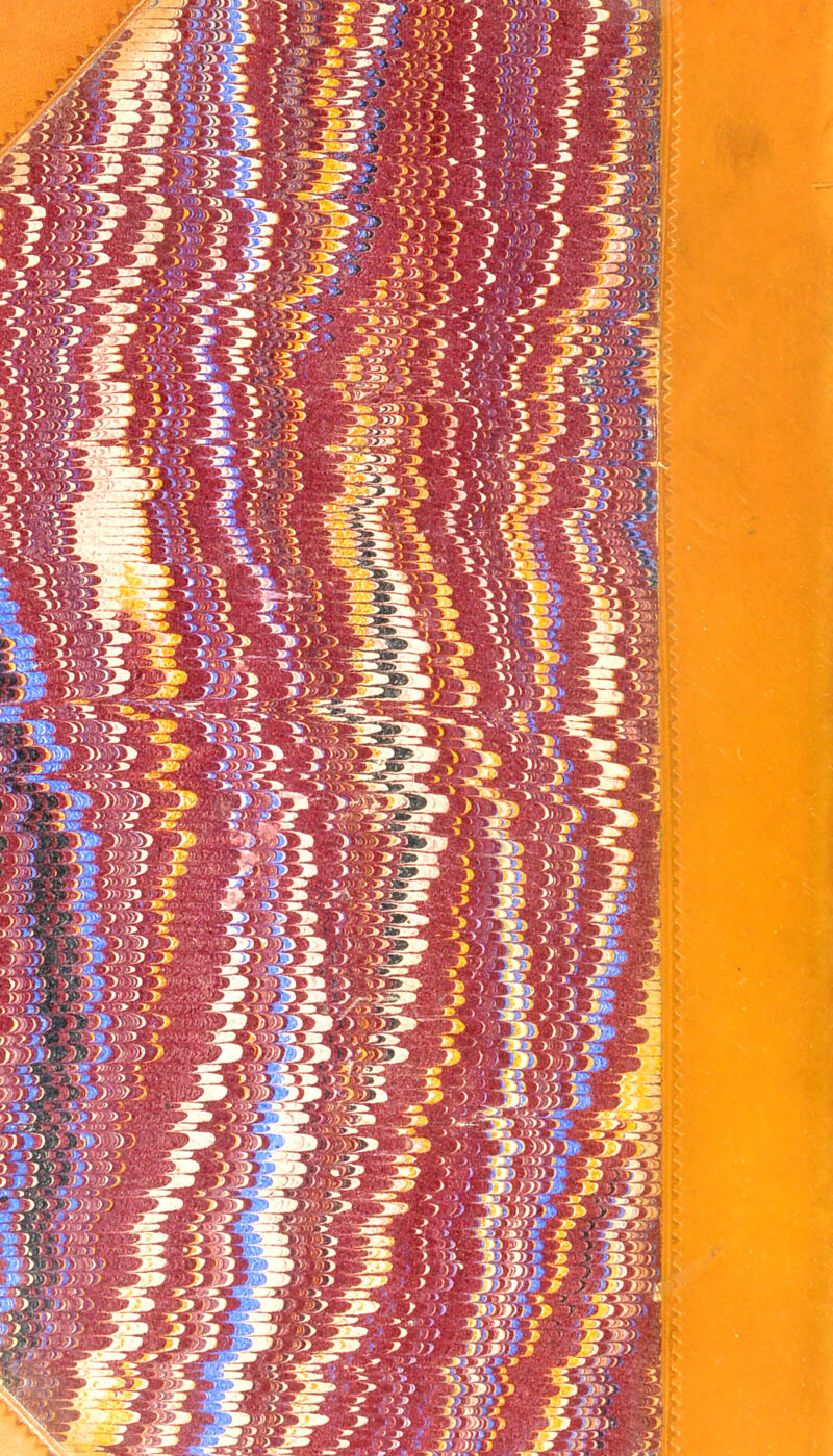 '.'I* •• >> ^  V> • ’v,y> ^ y>»>5 > 3 . Vj » )m;. ■> ii'). } liV H n» n ■ >■ > s 1!^ i’' 'S» > >^ 1» ‘ >'• >‘^