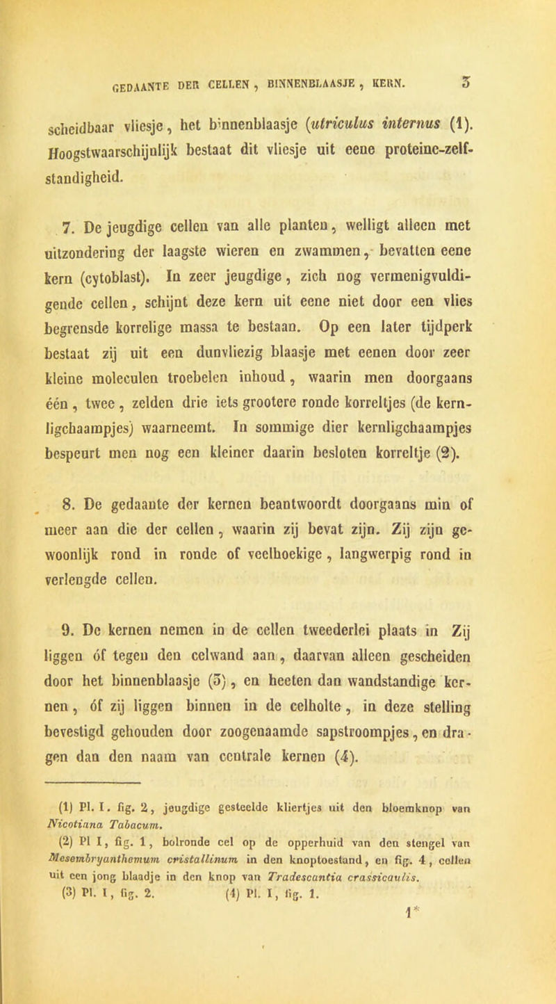 GEDAANTE DER CELI.EN , BINNENBI.AASJE , KEBN. schcidbaar vliesje, het binnenblaasje (utriculus interims (1). Hoogstwaarschijulijk bestaat dit vliesje uit eene proteinc-zelf- standigbeid. 7. De jeugdige celleu van alle planteu, welligt allecn met uitzondering der laagste vvieren en zwammen, bevatten eene kern (cytoblast). In zeer jeugdige, zich nog vermenigvuldi- gende cellcn, schijnt deze kern uit eene niet door een vlies begrensde korrelige massa te bestaan. Op een later tijdperk bestaat zij uit een dunvliezig blaasje met cenen door zeer kleine raoleculen troebelen inhoud, waarin men doorgaans een , twee , zelden drie iets grootere rondo korreltjes (de kern- ligchaainpjes) waarneemt. In soramige dier kcrnligchaampjes bespeurt men nog een kleincr daarin besloten korreltje (9). 8. De gedaante der kernen beantwoordt doorgaans min of nicer aan die der cellen , waarin zij bevat zijn. Zij ziju gc- vvoonlijk rond in ronde of veclhockige , langwcrpig rond in verlengde cellcn. 9. De kernen ncmen in de cellen tweederlei plaats in Zij liggen of tegeu den celwand aan , daarvan alleen gescheiden door het binnenblaasje (o), cn heeten dan wandstandige ker- nen , of zij liggen binnen in de celholte, in deze stelling bevestigd gchouden door zoogenaamde sapstroompjes, en dra - gen dan den naam van ccntrale kernen (4). (1) PI. I. fig. 2, jeugdige gestcelde kliertjes uit don bloemknop van Nicoliuna Tabacum. (2) PI I, fig. 1, bolronde cel op de opperhuid van den stcngel van Mesembryunthovium cristallinum in den knoptocstand, en fig. 4 , cellen uit cen jong blaadje in den knop van Tradescantia crassicavlis. (3) PI. I, fig. 2. (4) PI. I, lig. 1. r