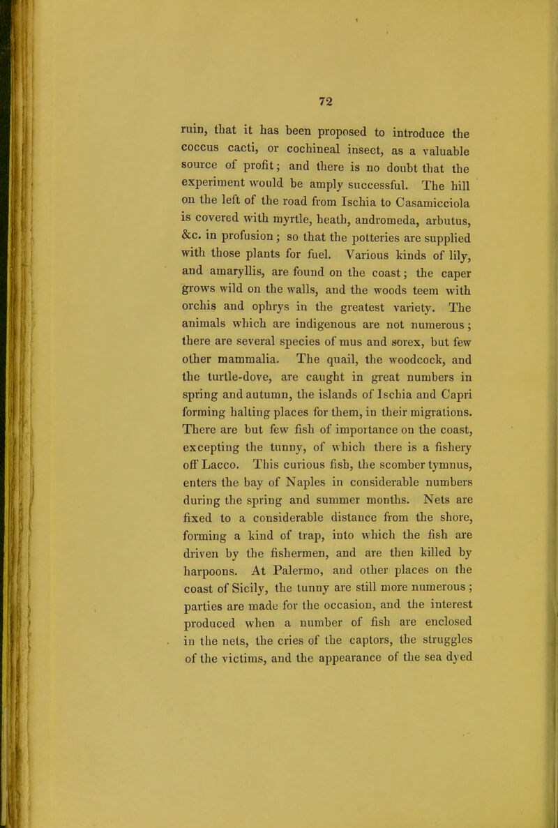 ruin, that it has been proposed to introduce the coccus cacti, or cochineal insect, as a valuable source of profit; and there is no doubt that the experiment would be amply successful. The hill on the left of the road from Ischia to Casamicciola is covered with myrtle, heath, andromeda, arbutus, &c. in profusion; so that the potteries are supplied with those plants for fuel. Various kinds of lily, and araaryllis, are found on the coast; the caper grows wild on the walls, and the woods teem with orchis and ophrys in the greatest variety. The animals which are indigenous are not numerous; there are several species of mus and sorex, but few other mammalia. The quail, the woodcock, and the turtle-dove, are caught in great numbers in spring and autumn, the islands of Ischia and Capri forming halting places for them, in their migrations. There are but few fish of importance on the coast, excepting the tunny, of which there is a fishery offLacco. This curious fish, the scomber tymnus, enters the bay of Naples in considerable numbers during the spring and summer months. Nets are fixed to a considerable distance from the shore, forming a kind of trap, into which the fish are driven by the fishermen, and are then killed by harpoons. At Palermo, and other places on the coast of Sicily, the tunny are still more numerous ; parties are made for the occasion, and the interest produced when a number of fish are enclosed in the nets, the cries of the captors, the struggles of the victims, and the appeai-ance of the sea dyed