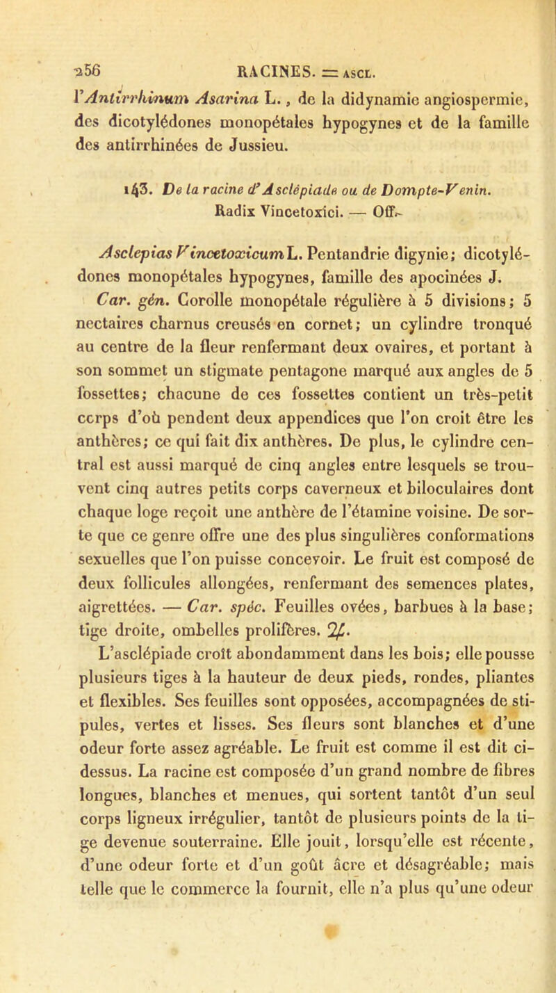 ^î56 RACINES. =ASCL. VAntirrlimum Asarina L., de la didynamic angiospermic, des dicotylédones monopétales hypogynes et de la famille des antirrhinées de Jussieu. 143. De la racine d’Asclépiade ou de Dompte-Venin. Radis Vinoetoxici. — Off»- Asclépios Finceloxicuml,. Pentandrie digynie; dicotylé- dones monopétales hypogynes, famille des apocinées J. Car. gén. Corolle monopétale régulière à 5 divisions; 5 nectaires charnus creusés en cornet; un cylindre tronqué au centre de la fleur renfermant deux ovaires, et portant à son sommet un stigmate pentagone marqué aux angles de 5 fossettes; chacune de ces fossettes contient un très-petit ccrps d’où pendent deux appendices que l’on croit être les anthères; ce qui fait dix anthères. De plus, le cylindre cen- tral est aussi marqué de cinq angles entre lesquels se trou- vent cinq autres petits corps caverneux et biloculaires dont chaque loge reçoit une anthère de l’étamine voisine. De sor- te que ce genre offre une des plus singulières conformations sexuelles que l’on puisse concevoir. Le fruit est composé de deux follicules allongées, renfermant des semences plates, aigrettées. — Car. spôc. Feuilles ovées, harhues à la hase; tige droite, ombelles prolifbres. y,. L’asclépiade croît abondamment dans les bois; elle pousse plusieurs tiges à la hauteur de deux pieds, rondes, pliantes et flexibles. Ses feuilles sont opposées, accompagnées de sti- pules, vertes et lisses. Ses fleurs sont blanches et d’une odeur forte assez agréable. Le fruit est comme il est dit ci- dessus. La racine est composée d’un grand nombre de fibres longues, blanches et menues, qui sortent tantôt d’un seul corps ligneux irrégulier, tantôt de plusieurs points de la li- ge devenue souterraine. Elle jouit, lorsqu’elle est récente, d’une odeur forte et d’un goût âcre et désagréable; mais telle que le commerce la fournit, elle n’a plus qu’une odeur