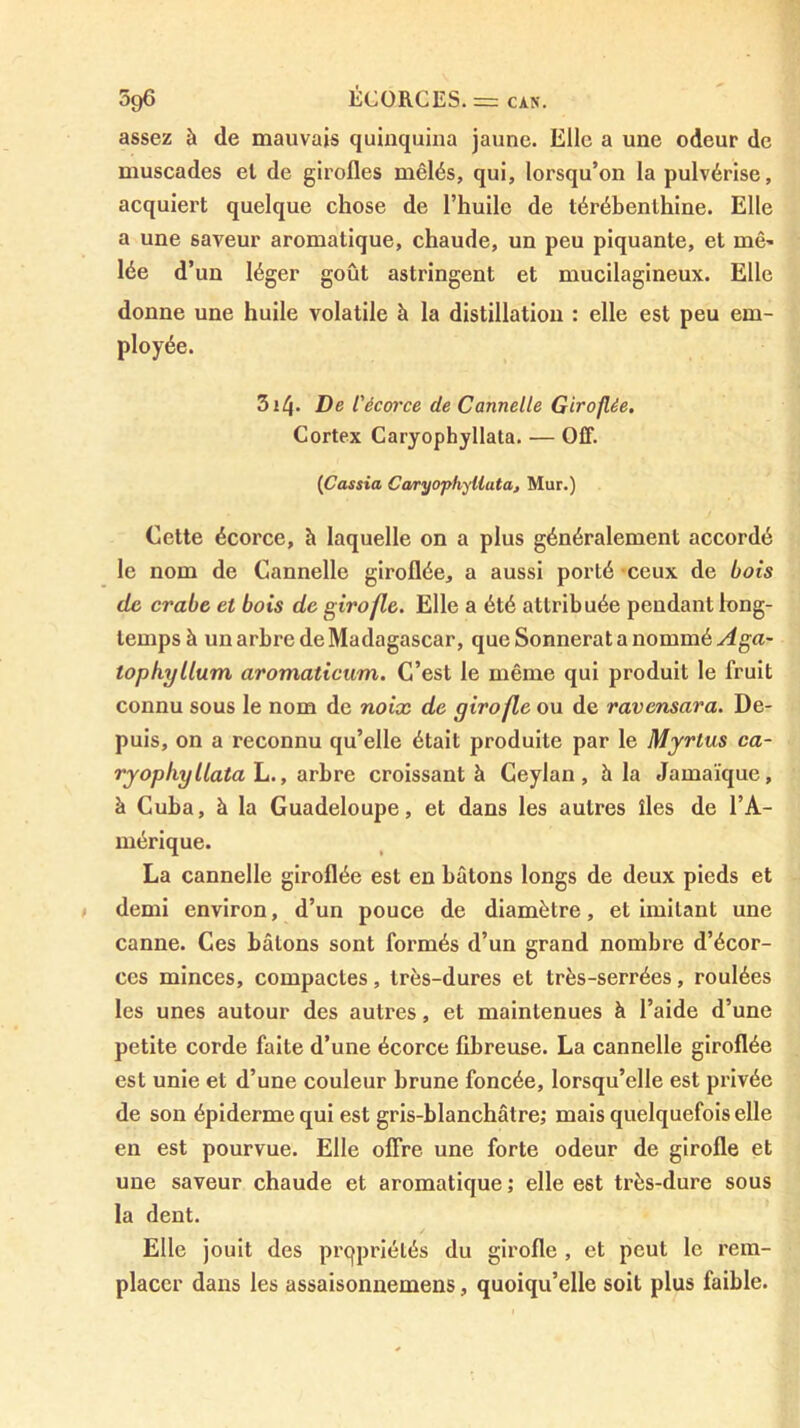 assez à de mauvais quinquina jaune. Elle a une odeur de muscades el de girofles mêlés, qui, lorsqu’on la pulvérise, acquiert quelque chose de l’huile de térébenthine. Elle a une saveur aromatique, chaude, un peu piquante, et mê- lée d’ un léger goût astringent et mucilagineux. Elle donne une huile volatile à la distillation : elle est peu em- ployée. 3i4- De t'éco7'ce de Cannelle Giroflée. Cortex Caryophyllata. — OIT. {Cassia CaryO’phyllata, Mur.) Cette écorce, h laquelle on a plus généralement accordé le nom de Cannelle giroflée, a aussi porté -ceux de bois de crabe et bois de girofle. Elle a été attribuée pendant long- temps à un arbre de Madagascar, que Sonnerat a nommé Aga- topkyllum aromaticum. C’est le même qui produit le fruit connu sous le nom de noix de girofle ou de ravensara. De- puis, on a reconnu qu’elle était produite par le Myrtus ca- ryophyllata \u., arbre croissant à Ceylan , à la Jamaïque, à Cuba, à la Guadeloupe, et dans les autres îles de l’A- mérique. La cannelle giroflée est en bâtons longs de deux pieds et demi environ, d’un pouce de diamètre, et imitant une canne. Ces bâtons sont formés d’un grand nombre d’écor- ces minces, compactes, très-dures et très-serrées, roulées les unes autour des autres, et maintenues à l’aide d’une petite corde faite d’une écorce fibreuse. La cannelle giroflée est unie et d’une couleur brune foncée, lorsqu’elle est privée de son épiderme qui est gris-blanchâtre; mais quelquefois elle en est pourvue. Elle offre une forte odeur de girofle et une saveur chaude et aromatique ; elle est très-dure sous la dent. Elle jouit des prqpriélés du girofle , et peut le rem- placer dans les assaisonnemens, quoiqu’elle soit plus faible.