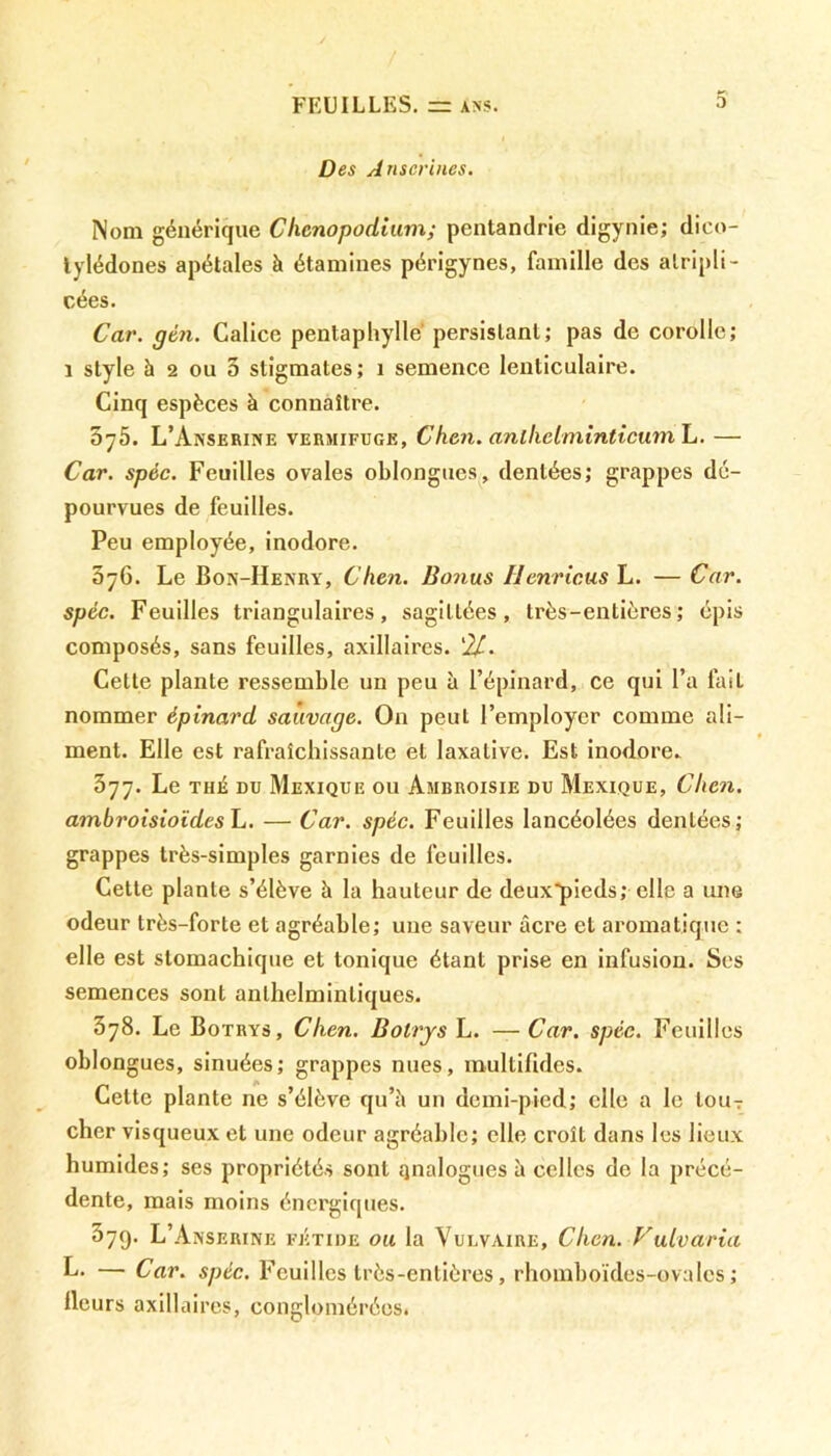 Des Anscrines. Nom générique Chcnopodium; pentandrie digynie; dico- tylédones apétales à étamines périgynes, famille des alripli- cées. Car. gén. Calice pentaphylle persistant; pas de corolle; 1 style à 2 ou 5 stigmates; î semence lenticulaire. Cinq espèces à connaître. 5y5. L’Anserine vermifuge, Chcn. anlliciminticum L. — Car. spèc. Feuilles ovales oblongucs, dentées; grappes dé- pourvues de feuilles. Peu employée, inodore. 5y6. Le Bon-Henry, Clien. Bonus Ilenricus L. — Car. spéc. Feuilles triangulaires, sagillées, très-entières; épis composés, sans feuilles, axillaires. 'IL. Cette plante ressemble un peu à l’épinard, ce qui l’a fait nommer épinard sauvage. On peut l’employer comme ali- ment. Elle est rafraîchissante et laxative. Est inodore. 377. Le thé du Mexique ou Ambroisie du Mexique, Chcn. ambroisioïdesL. — Car. spéc. Feuilles lancéolées dentées; grappes très-simples garnies de feuilles. Cette plante s’élève à la hauteur de deuxpieds; elle a une odeur très-forte et agréable; une saveur âcre et aromatique : elle est stomachique et tonique étant prise en infusion. Ses semences sont anlhelmintiques. 378. Le Botrys, Clien. Botrys L. — Car. spéc. Feuilles oblongues, sinuées; grappes nues, multifides. Celte plante ne s’élève qu’h un demi-pied; elle a le touT cher visqueux et une odeur agréable; elle croît dans les lieux humides; ses propriétés sont analogues à celles de la précé- dente, mais moins énergiques. 379- L’Anserine fétide ou la Vulvaire, Clicn. Vulvaria L. — Car. spéc. Feuilles très-entières, rhomboïdes-ovales ; lleurs axillaires, conglomérées.