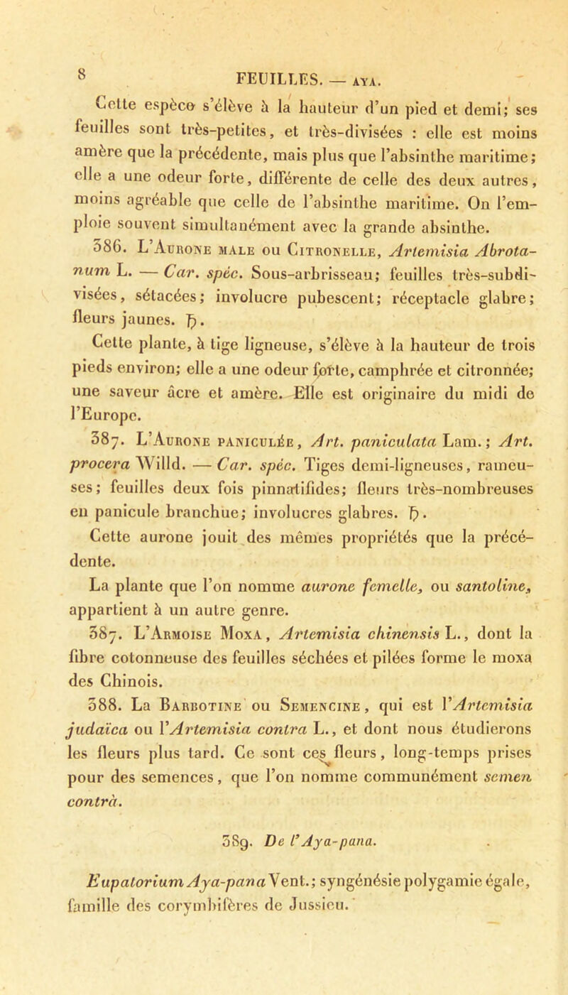 v.olte espèce s élève à la hauteur d’un pied et demi; ses feuilles sont très-petites, et très-divisées : elle est moins amère que la précédente, mais plus que l’absinthe maritime; elle a une odeur forte, différente de celle des deux autres, moins agréable que celle de l’absinthe maritime. On l’em- ploie souvent simultanément avec la grande absinthe. oSG. L Aurone male ou Citronelle, Artemisia Abrota- num L. — Car. spéc. Sous-arbrisseau; feuilles très-subdi- visées, sétacées; involucre pubescent; réceptacle glabre; fleurs jaunes. 7p. Cette plante, à lige ligneuse, s’élève à la hauteur de trois pieds environ; elle a une odeur fo^te, camphrée et citronnée; une saveur âcre et amère. Elle est originaire du midi de l’Europe. 58y. L’Aurone paniculj£e. Art. paniculata Lam. ; Art. procera Wi 11 d. —Car. spéc. Tiges demi-ligneuses, rameu- ses; feuilles deux fois pinnatifides; fleurs très-nombreuses en panicule branchuc; involucres glabres. 7). Cette aurone jouit des mêmes propriétés que la précé- dente. La plante que l’on nomme auront femelle, ou santoline appartient à un autre genre. 887. L’Armoise Moxa, Artemisia chinensis L., dont la fibre cotonneuse des feuilles séchées et pilées forme le moxa des Chinois. 088. La Barbotine ou Semencine , qui est Y Artemisia judaïca ou VArtemisia contra L., et dont nous étudierons les fleurs plus tard. Ce sont ces^fleurs, long-temps prises pour des semences, que l’on nomme communément semen contra. 5Sg. De Y Aya-pana. EupatoriumAja-panaVent; syngénésie polygamie égale, famille des corymbifères de Jussieu.