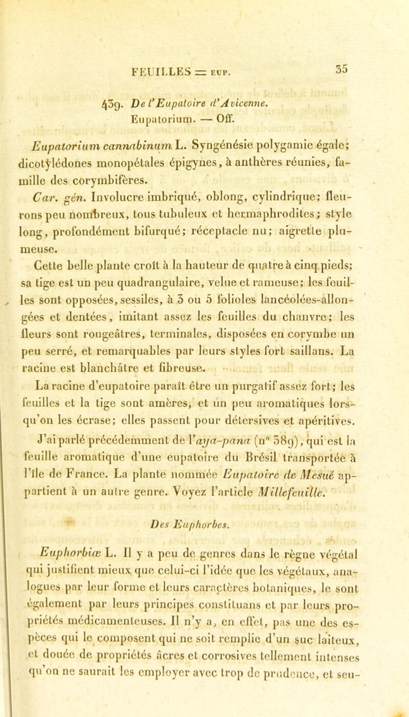 45g. De l’Eupaloire d’Avicenne. Eupatorium. — Off. Eupatorium cannnbinum L. Syngénésie polygamie égale; dicotylédones monopétales épigynes, à anthères réunies, fa- mille des corymbifères. Car. gén. Involucre imbriqué, oblong, cylindrique; fleu- rons peu nombreux, tous tubuleux et hermaphrodites ; style long, profondément bifurqué; réceptacle nu; aigrette plu- meuse. Cette belle plante croît à la hauteur de quatre à cinq pieds; sa tige est un peu quadrangulaire, velue et rameuse; les feuil- les sont opposées, sessiles, à 5 ou 5 folioles lancéolées-àllon- gées et dentées, imitant assez les feuilles du chanvre; les fleurs sont rougeâtres, terminales, disposées en corymbe un peu serré, et remarquables par leurs styles fort saillans. La racine est blanchâtre et fibreuse. La racine d’eupatoire paraît être un purgatif assez fort; les feuilles et la tige sont ainères, et un peu aromatiques lors- qu’on les écrase; elles passent pour détersives et apéritives. J’ai parlé précédemment de Yaya-pana (n° 58g), qui est la feuille aromatique d’une eupatoire du Brésil transportée h l’île de France. La plante nommée Eupatoire de Mesuë ap- partient à un autre genre. Voyez l’article MillefëuiUe. Des Euphorbes. Euphorbiœ L. Il y a peu de genres dans le règne végétal qui justifient mieux que celui-ci l’idée que les végétaux, ana- logues par leur forme et leurs caractères botaniques, le sont également par leurs principes constituans et par leurs pro- priétés médicamenteuses. Il n’y a, en effet, pas une des es- pèces qui le composent qui ne soit remplie d’un suc laiteux, et douée de propriétés âcres et corrosives tellement intenses qu’on ne saurait les employer avec trop de prudence, et seu-