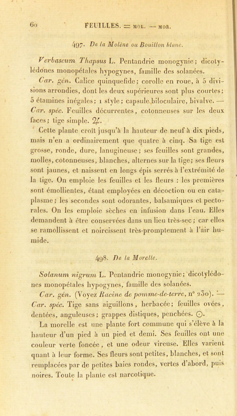 MOR. 497. De la Molène ou Bouillon blanc. Verbascum Tliapsus L. Pentandrie monogynie; dicoty- lédones monopétales hypogynes, famille des solanées. Car. en. Calice quinquefide; corolle en roue, à 5 divi- sions arrondies, dont les deux supérieures sont plus courtes; 5 étamines inégales; 1 style; capsule.biloculaire, bivalve.— Car. spcc. Feuilles décurrentes, cotonneuses sur les deux faces; lige simple. Cette plante croît jusqu’à la hauteur de neuf à dix pieds, mais n’en a ordinairement que quatre à cinq. Sa tige est grosse, ronde, dure, lanugineuse; ses feuilles sont grandes, molles, cotonneuses, blanches, alternes sur la lige; ses fleurs sont jaunes, et naissent en longs épis serrés à l’extrémité de la lige. On emploie les feuilles et les fleurs : les premières sont émollientes, étant employées en décoction ou en cata- plasme; les secondes sont odorantes, balsamiques et pecto- rales. On les emploie sèches en infusion dans l’eau. Elles demandent à être conservées dans un lieu très-sec ; car elles se ramollissent et noircissent très-promptement à l’air hu- mide. 498. De la Morelle. Solarium nigrurn L. Pentandrie monogynie; dicotylédo- nes monopétales hypogynes, famille des solanées. Car. gén. (Voyez Racine de pornme-de-terre, n° 200). — Car. spéc. Tige sans aiguillons, herbacée; feuilles ovées, dentées, anguleuses; grappes distiques, penchées. ©• La morelle est une plante fort commune qui s’élève à la hauteur d’un pied à un pied et demi. Ses feuilles ont une couleur verte foncée, et une odeur vireuse. Elles varient qnant à leur forme. Ses fleurs sont petites, blanches, et sont remplacées par de petites baies rondes, vertes d abord, puis noires. Toute la plante est narcotique.