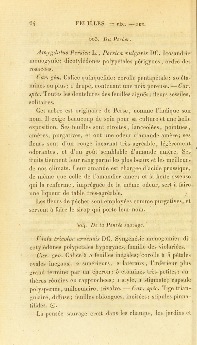 5o5. Du Pêcher. Amygdalus PcrsicaL., Persica vulgaris DG. Icosandrie monogynie; dicotylédones polypétales périgynes, ordre des rosacées. Car. gén. Calice quinquelide; corolle pentapétale; 20 éta- mines on plus; 1 drupe, contenant une noix poreuse. — Car. spéc. Toutes les dentelures des feuilles aiguës; fleurs sessiles, solitaires. Cet arbre est originaire de Perse, comme l’indique son nom. Il exige beaucoup de soin pour sa culture et une belle exposition. Ses feuilles sont étroites, lancéolées, pointues, amères, purgatives, et ont une odeur d’amande amère; ses fleurs sont d’un rouge incarnat très-agréable, légèrement odorantes, et d’un goût semblable d’amande amère. Ses fruits tiennent leur rang parmi les plus beaux et les meilleurs de nos climats. Leur amande est chargée d’acide prussique, de même que celle de l’amandier amer; et la boîte osseuse qui la renferme, imprégnée de la même odeur, sert à faire une liqueur de table très-agréable. Les fleurs de pêcher sont employées comme purgatives, et servent à faire le sirop qui porte leur nom. 5oZj. De la Pensée sauvage. Viola tricolor arvènsis DC. Syngénésie monogamie; di- cotylédones polypétales hypogynes, famille des violariées. Car. gén. Calice à 5 feuilles inégales; corolle à 5 pétales ovales inégaux, 2 supérieurs, 2 latéraux, l’inférieur plus grand terminé par un éperon; 5 étamines très-petites; an- thères réunies ou rapprochées; 1 style, 1 stigmate; capsule polysperme, uniloculaire, trivalve. — Car. spéc. Tige trian- gulaire, diffuse; feuilles oblongues, incisées; stipules pinna- tifldes, ©. La pensée sauvagé croît dans les champs, les jardins et