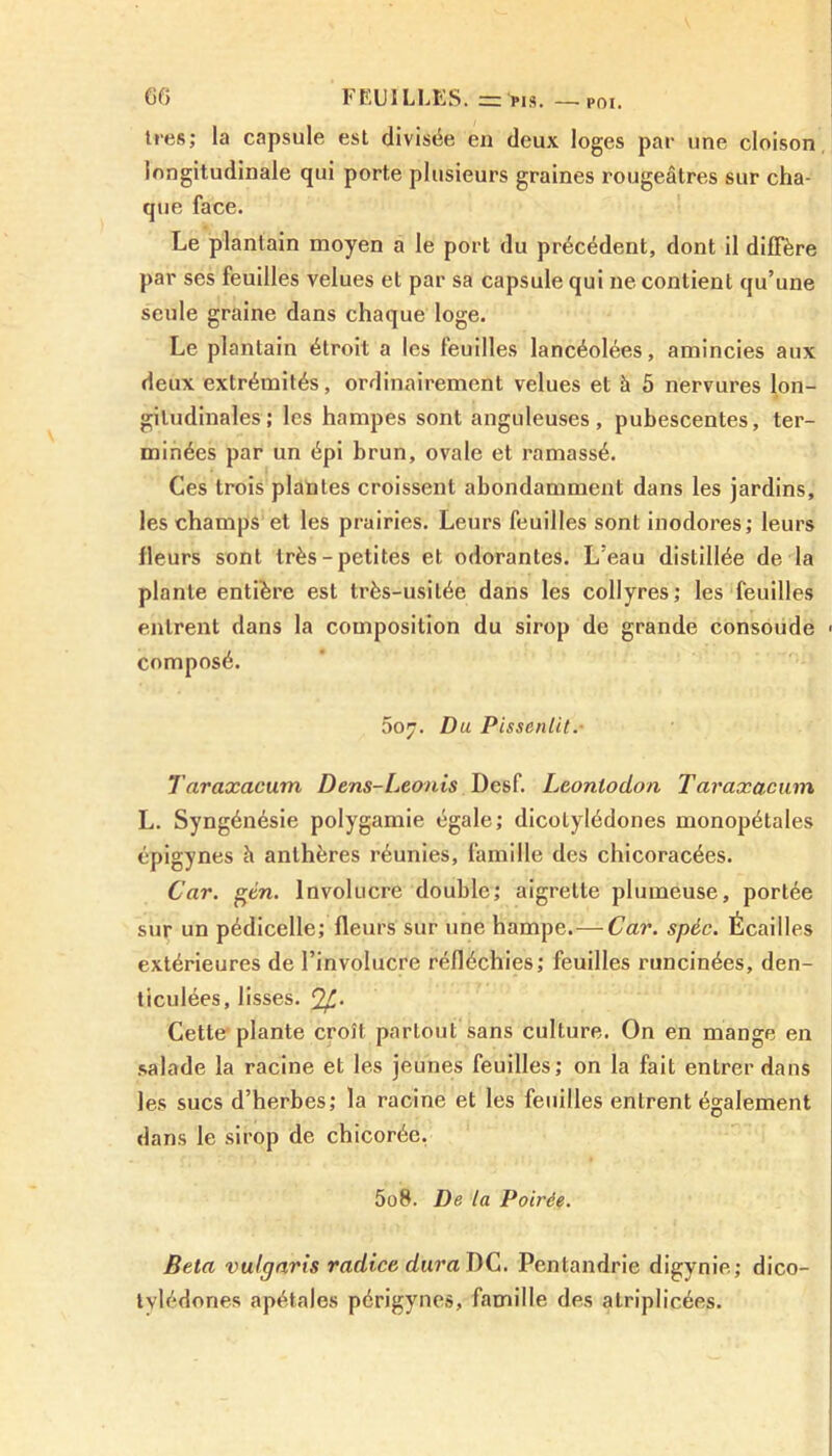 très; la capsule est divisée en deux loges par une cloison longitudinale qui porte plusieurs graines rougeâtres sur cha- que face. Le plantain moyen a le port du précédent, dont il diffère par ses feuilles velues et par sa capsule qui ne contient qu’une seule graine dans chaque loge. Le plantain étroit a les feuilles lancéolées, amincies aux deux extrémités, ordinairement velues et à 5 nervures lon- gitudinales; les hampes sont anguleuses, pubescentes, ter- minées par un épi brun, ovale et ramassé. Ces trois plantes croissent abondamment dans les jardins, les champs et les prairies. Leurs feuilles sont inodores; leurs fleurs sont très-petites et odorantes. L’eau distillée de la plante entière est très-usitée dans les collyres; les feuilles entrent dans la composition du sirop de grande consoude composé. 507. Du Pissenlit. Taraxacum Dens-Leonis Desf. Leonlodon Taraxacum L. Syngénésie polygamie égale; dicotylédones monopétales épigynes h anthères réunies, famille des chicoracées. Car. gén. lnvolucre double; aigrette plumeuse, portée sur un pédicelle; fleurs sur une hampe.—Car. spéc. Écailles extérieures de l’involucre réfléchies; feuilles runcinées, den- ticulées, lisses. Cette’plante croît partout sans culture. On en mange en salade la racine et les jeunes feuilles; on la fait entrer dans les sucs d’herbes; la racine et les feuilles entrent également dans le sirop de chicorée. 508. De la Poirée. Bêla vulgaris radice dura DC. Pentandrie digynie; dico- tvlédones apétales périgynes, famille des atriplicées.