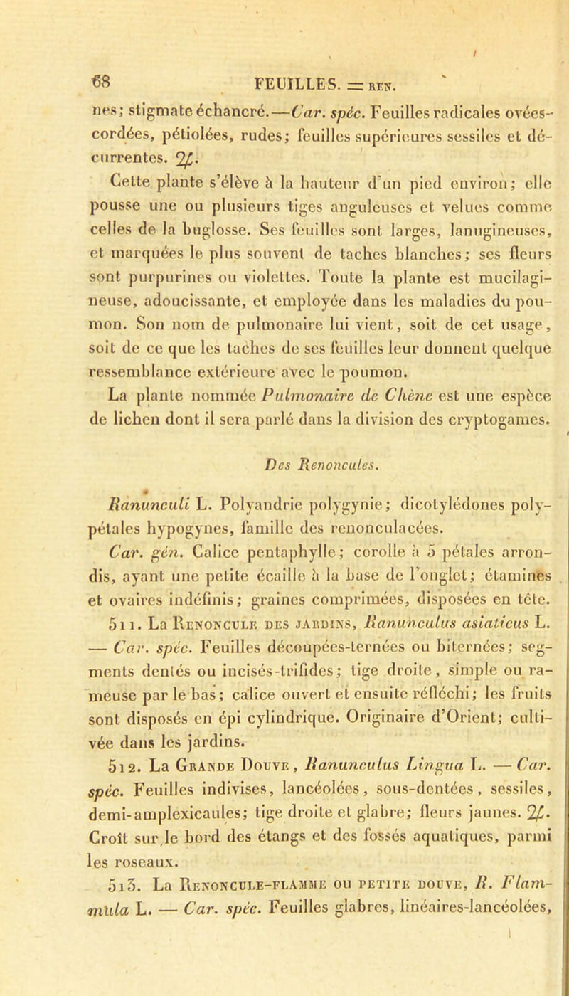 nés; stigmate échancré.—Car. spèc. Feuilles radicales ovées- cordées, pétiolées, rudes; feuilles supérieures sessiles et dé- çu rren tes. (2fl. Cette plante s’élève à la hauteur d’un pied environ; elle pousse une ou plusieurs tiges anguleuses et velues comme celles de la buglosse. Ses feuilles sont larges, lanugineuses, et marquées le plus souvent de taches blanches; ses fleurs sont purpurines ou violettes. Toute la plante est mucilagi- neuse, adoucissante, et employée dans les maladies du pou- mon. Son nom de pulmonaire lui vient, soit de cet usage, soit de ce que les taèhes de ses feuilles leur donnent quelque ressemblance extérieure avec le poumon. La plante nommée Pulmonaire de Chêne est une espèce de lichen dont il sera parlé dans la division des cryptogames. Des Renoncules. # Ranuncidi L. Polyandrie polygynie; dicotylédones poly- pétales hypogynes, famille des renonculacées. Car. gén. Calice pentaphylle; corolle à 5 pétales arron- dis, ayant une petite écaille it la base de l’onglet; étamines et ovaires indéfinis; graines comprimées, disposées en tête. 5i i. La Renoncule des jardins, Ranuhculus asiaticus L. — Car. spèc. Feuilles découpées-lernées ou Internées; seg- ments dentés ou incisés-trifides; tige droite, simple ou ra- meuse par le bas; calice ouvert et ensuite réfléchi; les fruits sont disposés en épi cylindrique. Originaire d’Oriënt; culti- vée dans les jardins. 512. La Grande Douve, Ranunculus Lingua L. —Car. spèc. Feuilles indivises, lancéolées, sous-dentées, sessiles, demi-amplexicaules; tige droite et glabre; fleurs jaunes. Qfi. Croît sur,le bord des étangs et des fossés aquatiques, parmi les roseaux. 513. La Renoncule-flamme ou petite douve, R. Flam- mlda L. — Car. spèc. Feuilles glabres, linéaires-lancéolées.