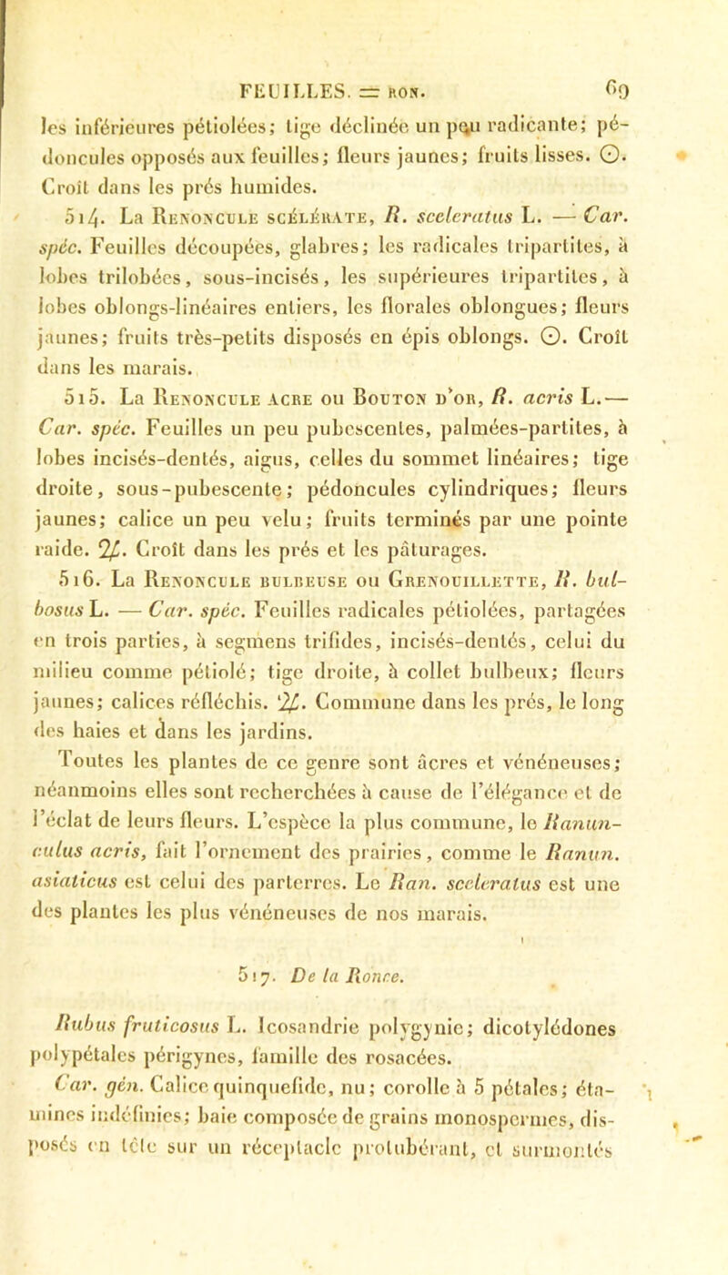 les inférieures pétiolées; tige déclinée un pçu radicante; pé- doncules opposés aux feuilles; fleurs jaunes; fruits lisses. Q. Croit dans les prés humides. 514• La Renoncule scélérate, R. sceleratus L. — Car. spéc. Feuilles découpées, glabres; les radicales bipartites, à lobes trilobées, sous-incisés, les supérieures tripartiles, à lobes oblongs-linéaires entiers, les florales oblongues; fleurs jaunes; fruits très-petits disposés en épis oblongs. O. Croît dans les marais. 515. La Renoncule acre ou Bouton d'or, R. acris L.— Car. spcc. Feuilles un peu pubcscentes, palmées-partites, à lobes incisés-dentés, aigus, celles du sommet linéaires; lige droite, sous-pubescente; pédoncules cylindriques; fleurs jaunes; calice un peu velu; fruits terminés par une pointe raide. <1[J. Croît dans les prés et les pâturages. 516. La Renoncule bulreuse ou Grenouillette, R. bul- bosus L. — Car. spéc. Feuilles radicales pétiolées, partagées en trois parties, à segmens trifides, incisés-dentés, celui du milieu comme pétiolé; tige droite, à collet bulbeux; fleurs jaunes; calices réfléchis. l2£. Commune dans les prés, le long des haies et dans les jardins. Toutes les plantes de ce genre sont âcres et vénéneuses; néanmoins elles sont recherchées à cause de l’élégance et de l’éclat de leurs fleurs. L’espèce la plus commune, le Ranun- c.ulus aerts, fait l’ornement des prairies, comme le Ranun. asiaticus est celui des parterres. Le Ran. sceleratus est une des plantes les plus vénéneuses de nos marais. I 517. De la Ronce. Rubus fruticosus L. Icosandrie polygynie; dicotylédones polypétalcs périgynes, famille des rosacées. Car. gén. Calicequinquefulc, nu; corolle à 5 pétales; éta- mines indéfinies; baie composée de grains monospermes, dis- posés en tclc sur un réceptacle protubérant, et surmontés