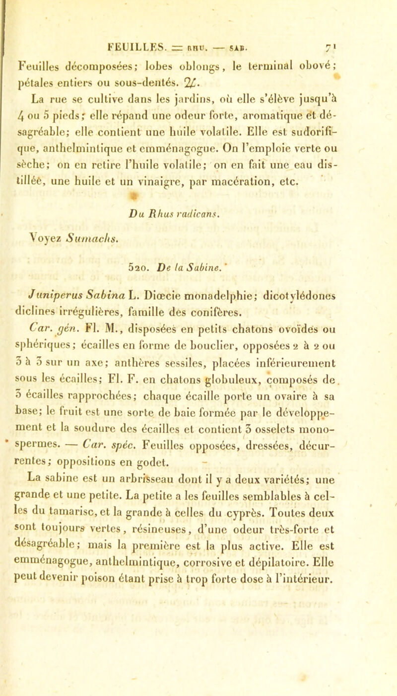 Feuilles décomposées; lobes oblongs, le terminal obové; pétales entiers ou sous-dentés. La rue se cultive dans les jardins, où elle s’élève jusqu’à 4 ou 5 pieds,' elle répand une odeur forte, aromatique et dé- sagréable; elle contient une huile volatile. Elle est sudorifi- que, anthelmintique et cmménagogue. On l’emploie verte ou sèche; on en retire l’huile volatile; on en fait une eau dis- tillée, une huile et un vinaigre, par macération, etc. Du Rhus radicans. Voyez Sulunchs. 520. De la Sabine. ' Juniperus Sabina L. Diœcie monadelphie; dicotylédones diclines irrégulières, famille des conifères. Car. gén. Fl. M., disposées en petits chatons ovoïdes ou sphériques; écailles en forme de bouclier, opposées a à 2 ou 5 à 3 sur un axe; anthères sessiles, placées inférieurement sous les écailles; Fl. F. en chatons globuleux, composés de 5 écailles rapprochées; chaque écaille porte un ovaire à sa base; le fruit est une sorte de baie formée par le développe- ment et la soudure des écailles et contient 3 osselets mono- spermes. — Car. spéc. Feuilles opposées, dressées, décur- rentes; oppositions en godet. La sabine est un arbrisseau dont il y a deux variétés; une grande et une petite. La petite a les feuilles semblables à cel- les du tamarisc, et la grande à celles du cyprès. Toutes deux sont toujours vertes, résineuses, d’une odeur très-forte et désagréable; mais la première est la plus active. Elle est emménagogue, anthelmintique, corrosive et dépilatoire. Elle peut devenir poison étant prise à trop forte dose à l’intérieur.