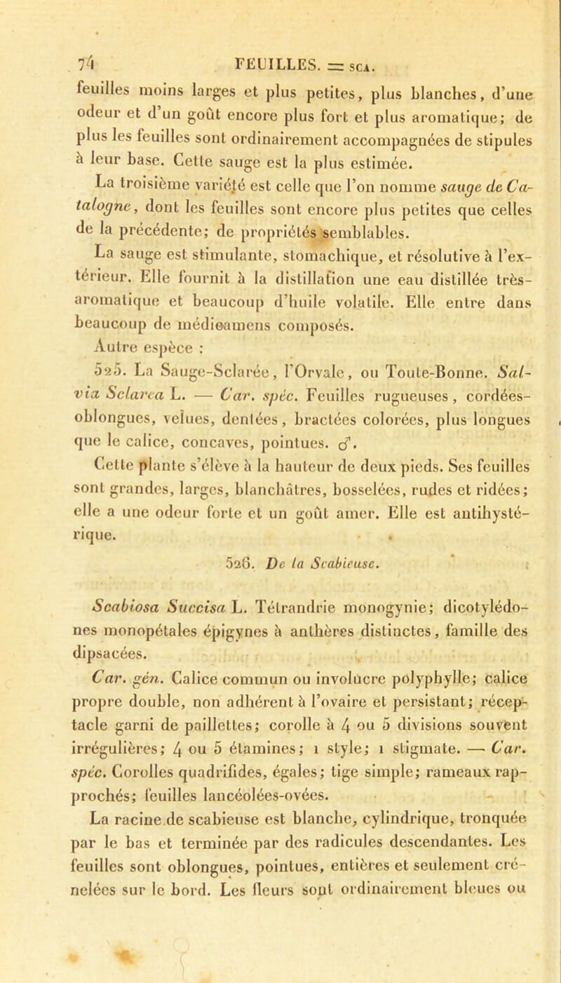 feuilles moins larges et plus petites, plus blanches, d’une odeur et d un goût encore plus fort et plus aromatique; de plus les feuilles sont ordinairement accompagnées de stipules à leur base. Cette sauge est la plus estimée. La troisième variété est celle que l’on nomme sauge de Ca- talogne, dont les feuilles sont encore plus petites que celles de la précédente; de propriétés semblables. La sauge est stimulante, stomachique, et résolutive à l’ex- térieur. Elle fournit h la distillation une eau distillée très- aromatique et beaucoup d’huile volatile. Elle entre dans beaucoup de médieamens composés. Autre espèce ; 5a5. La Sauge-Sclarée, I'Orvalc, ou Toute-Bonne. Sal- via Sclarea L. — Car. spéc. Feuilles rugueuses, cordées- oblongues, velues, dentées, bractées colorées, plus longues que le calice, concaves, pointues, cf- Celle plante s’élève à la hauteur de deux pieds. Ses feuilles sont grandes, larges, blanchâtres, bosselées, rudes et ridées; elle a une odeur forte et un goût amer. Elle est antihyslé- rique. 5aG. De la Scabieusc. Scabiosa Succisa L. Tétrandrie monogynie; dicotylédo- nes monopétales épigynes à anthères distinctes, famille des dipsacées. Car. gèn. Calice commun ou involucre polyphylle; calice propre double, non adhérent à l’ovaire et persistant; récep- tacle garni de paillettes; corolle à 4 nu 5 divisions souvent irrégulières; 4 ou 5 étamines; î style; î stigmate. — Car. spte. Corolles quadrifides, égales; lige simple; rameaux rap- prochés; feuilles lancéolées-ovées. La racine de scabieuse est blanche, cylindrique, tronquée, par le bas et terminée par des radicules descendantes. Les feuilles sont oblongues, pointues, entières et seulement cré- nelées sur le bord. Les fleurs sont ordinairement bleues ou