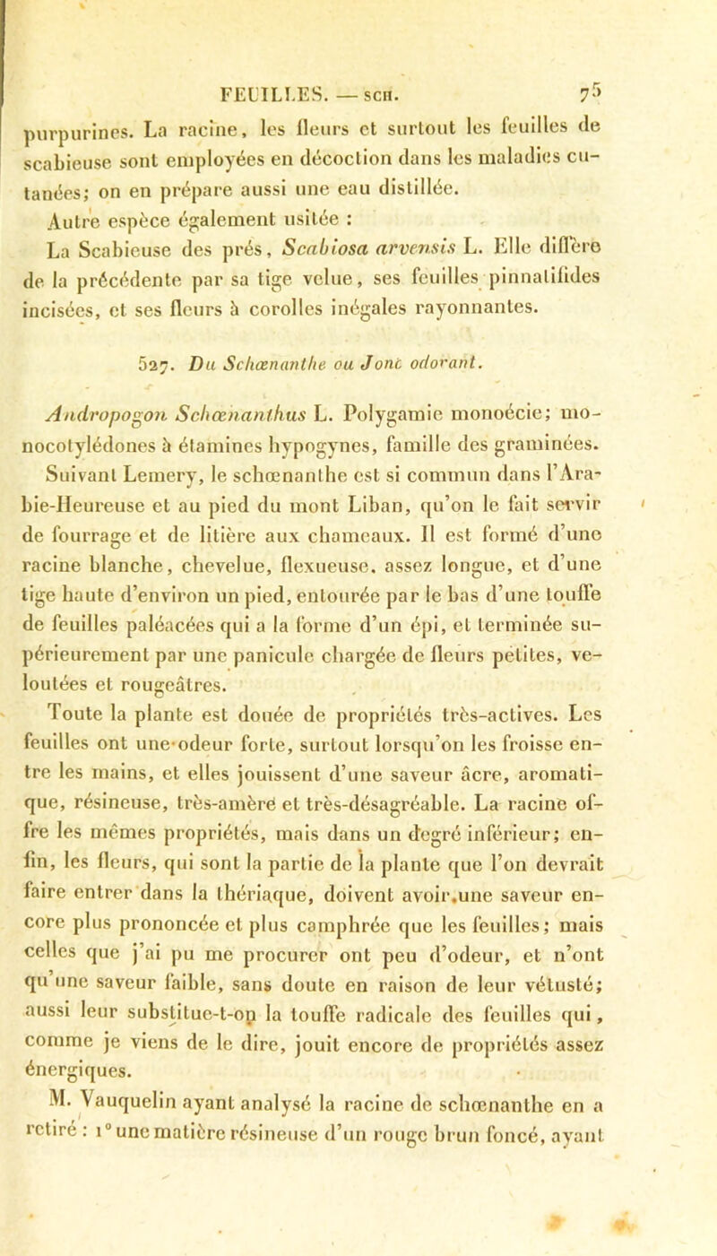 FEUILLES. — sca. 7r> purpurines. La racine, les fleurs et surtout les feuilles de scabieuse sont employées en décoction dans les maladies cu- tanées; on en prépare aussi une eau distillée. Autre espèce également usitée : La Scabieuse des prés, Scabiosa arvensis L. Elle diffère de la précédente par sa tige velue, ses feuilles pinnalifides incisées, et ses fleurs à corolles inégales rayonnantes. 527. Du Schœnanthe ou J ont odorant. A/idropogon Schœnanlkus L. Polygamie monoécie; mo- nocotylédones à étamines hypogynes, famille des graminées. Suivant Lemery, le schœnanthe est si commun dans l’Ara- bie-Heureuse et au pied du mont Liban, qu’on le fait servir de fourrage et de litière aux chameaux. Il est formé d’une racine blanche, chevelue, flexueuse. assez longue, et d’une tige haute d’environ un pied, entourée par le bas d’une touffe de feuilles paléacées qui a la forme d’un épi, et terminée su- périeurement par une paniculc chargée de fleurs petites, ve- loutées et rougeâtres. Toute la plante est douée de propriétés très-actives. Les feuilles ont une-odeur forte, surtout lorsqu’on les froisse en- tre les mains, et elles jouissent d’une saveur âcre, aromati- que, résineuse, très-amèré et très-désagréable. La racine of- fre les mêmes propriétés, mais dans un degré inférieur ; en- fin, les fleurs, qui sont la partie de la plante que l’on devrait faire entrer dans la thériaque, doivent avoir.une saveur en- core plus prononcée et plus camphrée que les feuilles; mais celles que j’ai pu me procurer ont peu d’odeur, et n’ont qu une saveur laible, sans doute en raison de leur vétusté; aussi leur substilue-t-on la touffe radicale des feuilles qui, comme je viens de le dire, jouit encore de propriétés assez énergiques. M. Vauquelin ayant analysé la racine de schœnanthe en a retiré : i° une matière résineuse d’un rouge brun foncé, ayant