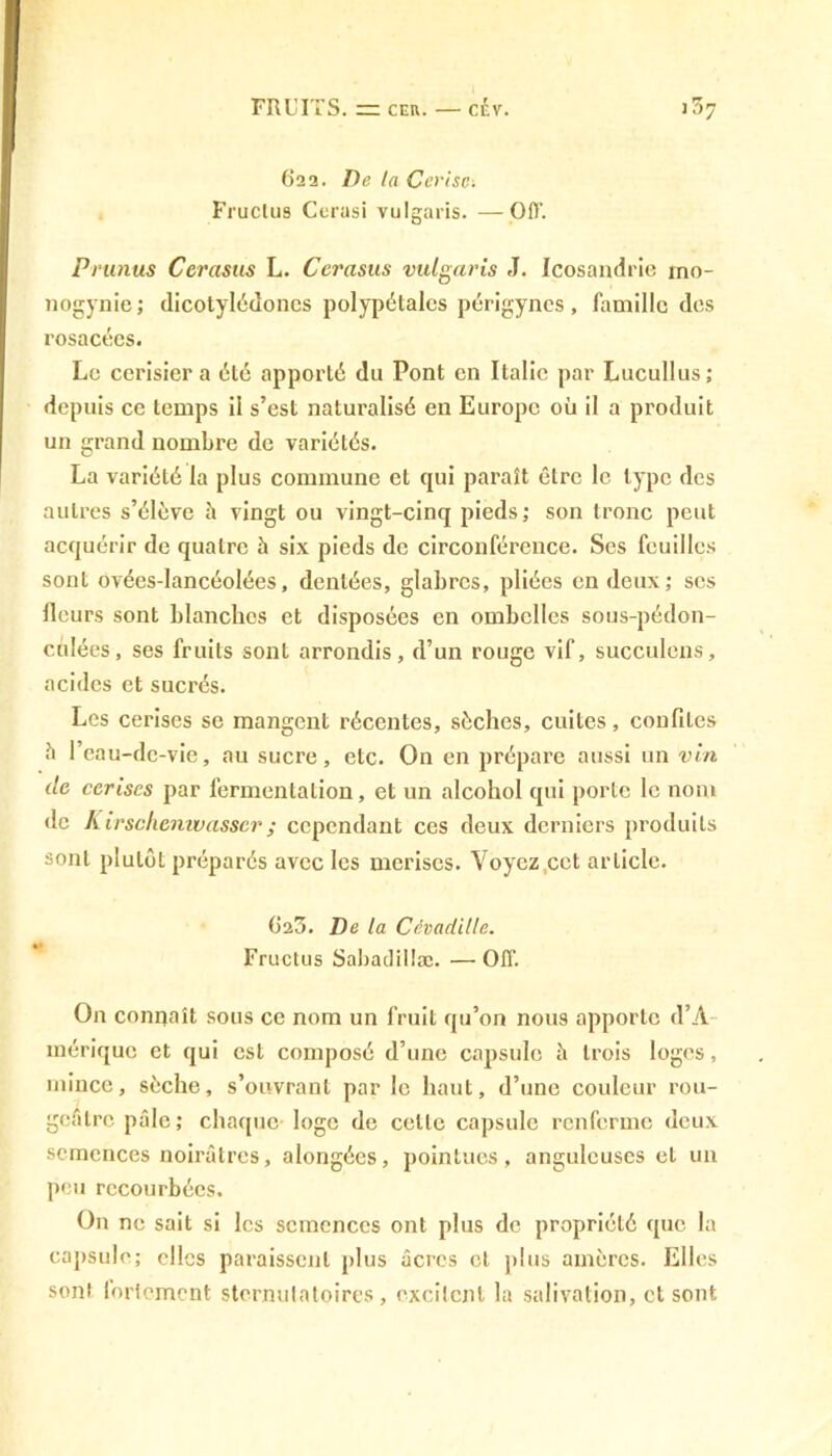 622. De la Cerise. Fruclus Cerasi vulgaris. —Off. Prunus Ccrasus L. Ccrasus vulgaris J. Icosandrie rno- nogynie; dicotylédones polypétales périgyncs, famille des rosacées. Le cerisier a été apporté du Pont en Italie par Lucullus; depuis ce temps il s’est naturalisé en Europe où il a produit un grand nombre de variétés. La variété la plus commune et qui paraît être le type des autres s’élève h vingt ou vingt-cinq pieds; son tronc peut acquérir de quatre à six pieds de circonférence. Ses feuilles sont ovées-lancéolées, dentées, glabres, pliées en deux; ses fleurs sont blanches et disposées en ombelles sous-pédon- culées, ses fruits sont arrondis, d’un rouge vif, succulens, acides et sucrés. Les cerises se mangent récentes, sèches, cuites, confites h l’eau-de-vie, au sucre, etc. On en prépare aussi un vin de cerises par fermentation, et un alcohol qui porte le nom de Kirschenwasscr; cependant ces deux derniers produits sont plutôt préparés avec les merises. Voyez cet article. G23. De la Cévadille. Fruclus Sabadillæ. — OIT. On connaît sous ce nom un fruit qu’on nou9 apporte d’A- mérique et qui est composé d’une capsule à trois loges, mince, sèche, s’ouvrant par le haut, d’une couleur rou- geâtre pâle; chaque loge de celle capsule renferme deux semences noirâtres, alongées, pointues, anguleuses et un peu recourbées. On ne sait si les semences ont plus de propriété que la capsule; elles paraissent plus âcres et plus amères. Elles sont lortement sternulatoires, excitent la salivation, et sont