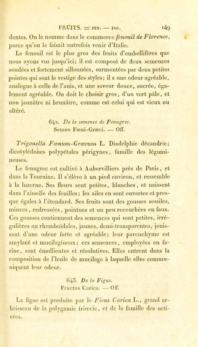 FftÜITS. = FEN. FIG. >49 dentés. On le nomme dans le commerce fenouil de Florence, parce qu’on le faisait autrefois venir d’Italie. Le fenouil est le plus gros des fruits d’ombellifères que nous ayons vus jusqu’ici; il est composé de deux semences soudées et fortement sillonnées, surmontées par deux petites pointes qui sont le vestige des styles; il a une odeur agréable, analogue à celle de l’anis, et une saveur douce, sucrée, éga- lement agréable. On doit le choisir gros, d’un vert pâle, et non jaunâtre ni brunâtre, comme est celui qui est vieux ou altéré. 642. De la semence de Fenugrec. Semen Fœni-Græci. — Off. Trigonella Fœnum-Grœcum L. Diadelphie décandrie; dicotylédones polypétales périgynes, famille des légumi- neuses. Le fenugrec est cultivé à Aubervilliers près de Paris, et dans la Touraine. Il s’élève à un pied environ, et ressemble à la luzerne. Ses fleurs sont petites, blanches, et naissent dans l’aisselle des feuilles; les ailes en sont ouvertes et pres- que égales à l’étendard. Ses fruits sont des gousses sessiles, minces, redressées, pointues et un peu recourbées en faux. Ces gousses contiennent des semences qui sont petites, irré- gulières ou rhomboïdales, jaunes, demi-transparentes, jouis- sant d’une odeur forte et agréable; leur parenchyme est amylacé et mucilagineux; ces semences, employées en fa- rine, sont émollientes et résolutives. Elles entrent dans la composition de l’huile de mucilage à laquelle elles commu- niquent leur odeur. 643. De la Figue, Fructus Carica. •—Off. La figue est produite par le Ficus Carica L., grand ar- brisseau de la polygamie Iriœcic, et de la famille des urli- cécs.