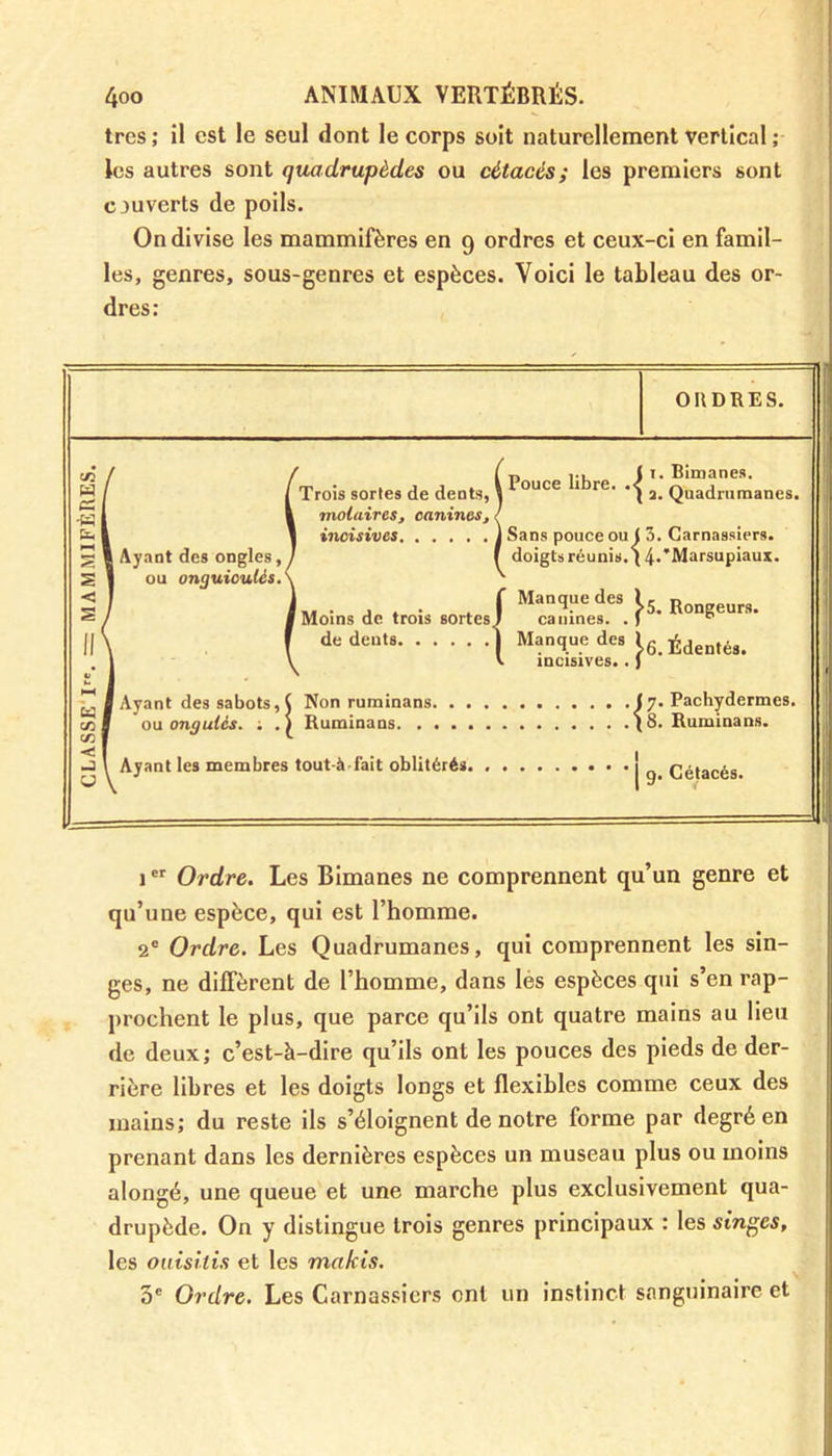 très ; il est le seul dont le corps soit naturellement vertical ; les autres sont quadrupèdes ou cétacés; les premiers sont ouverts de poils. On divise les mammifères en 9 ordres et ceux-ci en famil- les, genres, sous-genres et espèces. Voici le tableau des or- dres: ORDRES. c/5 H CS I -W b. ! < S tü C/5 I C/5 <! ! -5 U l „ ... I 1. Bimanes. Trois sortes de dents, \ ouce 1 re' 2. Quadrumanes. molaires, canines, ! inoisives ) Sans pouce ou ( 3. Carnassiers. I Ayant des ongles, J 1 doigts réunis. (4-*Marsupiaux. ou onguiculés A ' L . . . . f ( Manque des \ Rongeur8. I Moins de trois sortes J ca urnes. . J 0 de dcn,s 1 Manque des l g Édentés. V incisives. . J I Ayant des sabots, ( Non ruminans (7. Pachydermes. ou ongulés. ; . j Ruminans (8. Ruminans. Ayant les membres tout-à l'ait oblitérés ! Cétacés. ier Ordre. Les Bimanes ne comprennent qu’un genre et qu’une espèce, qui est l’homme. 2e Ordre. Les Quadrumanes, qui comprennent les sin- ges, ne diffèrent de l’homme, dans les espèces qui s’en rap- prochent le plus, que parce qu’ils ont quatre mains au lieu de deux; c’est-à-dire qu’ils ont les pouces des pieds de der- rière libres et les doigts longs et flexibles comme ceux des mains; du reste ils s’éloignent de notre forme par degré en prenant dans les dernières espèces un museau plus ou moins alongé, une queue et une marche plus exclusivement qua- drupède. On y distingue trois genres principaux : les singes, les ouisilis et les makis. 5e Ordre. Les Carnassiers ont un instinct sanguinaire et