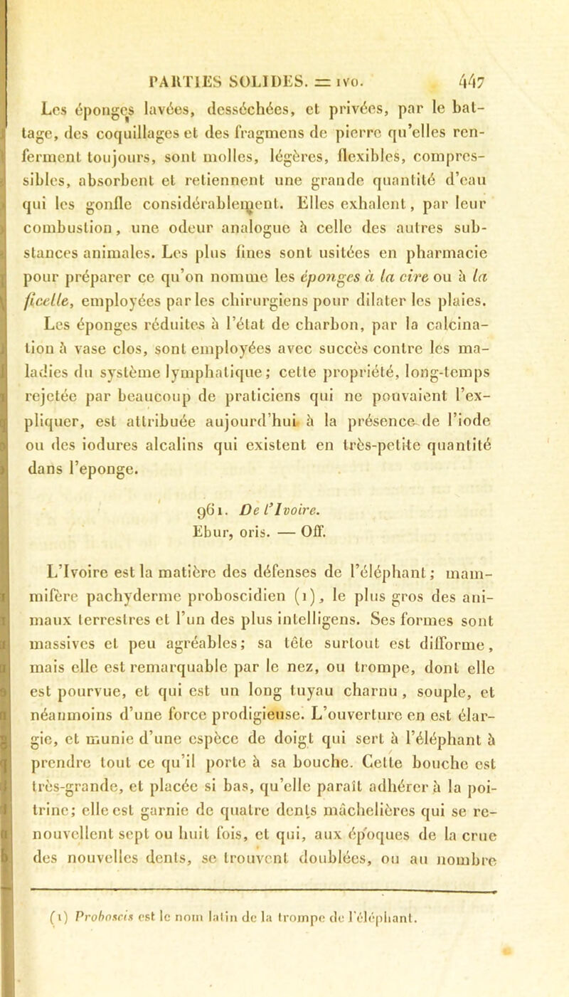 Les éponges lavées, desséchées, et privées, par le bat- tage, des coquillages et des fragmcns de pierre qu’elles ren- ferment toujours, sont molles, légères, flexibles, compres- sibles, absorbent et retiennent une grande quantité d’eau qui les gonfle considérablement. Elles exhalent, parleur combustion, une odeur analogue à celle des autres sub- stances animales. Les plus fines sont usitées en pharmacie pour préparer ce qu’on nomme les éponges à la cire ou à la ficelle, employées parles chirurgiens pour dilater les plaies. Les éponges réduites à l’état de charbon, par la calcina- tion à vase clos, sont employées avec succès contre les ma- ladies du système lymphatique; cette propriété, long-temps rejetée par beaucoup de praticiens qui ne pouvaient l’ex- pliquer, est attribuée aujourd’hui» à la présence de l’iode ou des iodures alcalins qui existent en très-petite quantité dans l’eponge. 961. De L’Ivoire. Ebur, oris. — Off. L’Ivoire est la matière des défenses de l’éléphant; mam- mifère pachyderme proboscidien (1), le plus gros des ani- maux terrestres et l’un des plus inlelligens. Ses formes sont massives et peu agréables; sa tête surtout est difforme, mais elle est remarquable par le nez, ou trompe, dont elle est pourvue, et qui est un long tuyau charnu , souple, et néanmoins d’une force prodigieuse. L’ouverture en est élar- gie, et munie d’une espèce de doigt qui sert à l’éléphant à prendre tout ce qu’il porte à sa bouche. Celle bouche est très-grande, et placée si bas, qu’elle paraît adhérer à la poi- trine; elle est garnie de quatre dents mâchelières qui se re- nouvellent sept ou huit fois, et qui, aux époques de la crue des nouvelles dents, se trouvent doublées, ou au nombre fi) Proboscis est le nom latin de la trompe de lelépliant.