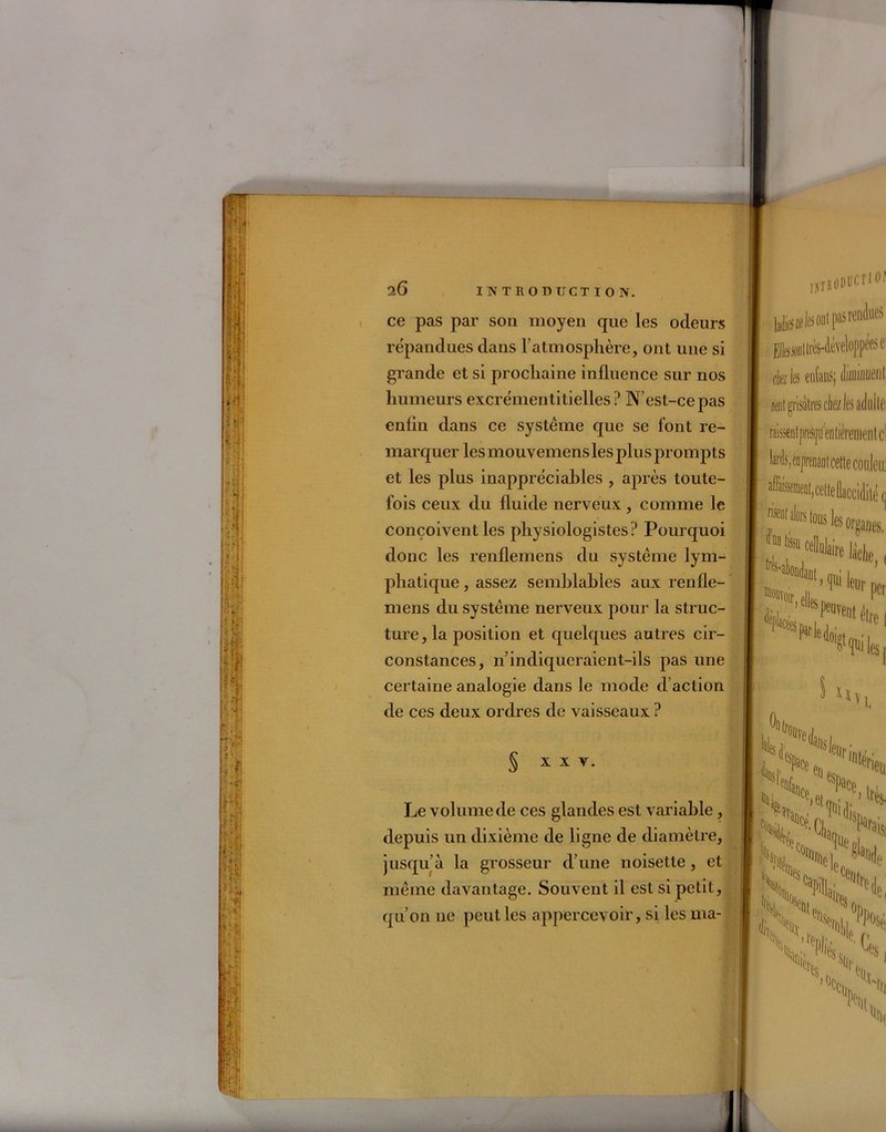îm ce pas par son moyen que les odeurs répandues dans l’atmosphère, ont une si grande et si prochaine influence sur nos humeurs excrémentitielles ? N’est-ce pas enfin dans ce système que se font re- marquer les mouvemensles plus prompts et les plus inappréciables , après toute- fois ceux du fluide nerveux, comme le conçoivent les physiologistes? Pourquoi donc les renflemens du système lym- phatique , assez semblables aux renfle- mens du système nerveux pour la struc- ture, la position et quelques autres cir- constances, 11 indiqueraient-ils pas une certaine analogie dans le mode d’action de ces deux ordres de vaisseaux ? § X x v. Le volume de ces glandes est variable, depuis un dixième de ligne de diamètre, jusqu’à la grosseur d’une noisette, et même davantage. Souvent il est si petit, qu’on ne peut les appercevoir, si les ma- Elles sont 1res-1 èz les enCans; diminuent ml grisâtres ciez les adulte, raissentpresrjii'en tièreincn t ci lards,éD])renaDtcette conleu; üIob tous les organes '**»«*, , Qt > ?ui leu I'0lr) elles ^ptrledoi r per Pétrel $ lui les 1 x x \ ■VSfcA 'es xN % \