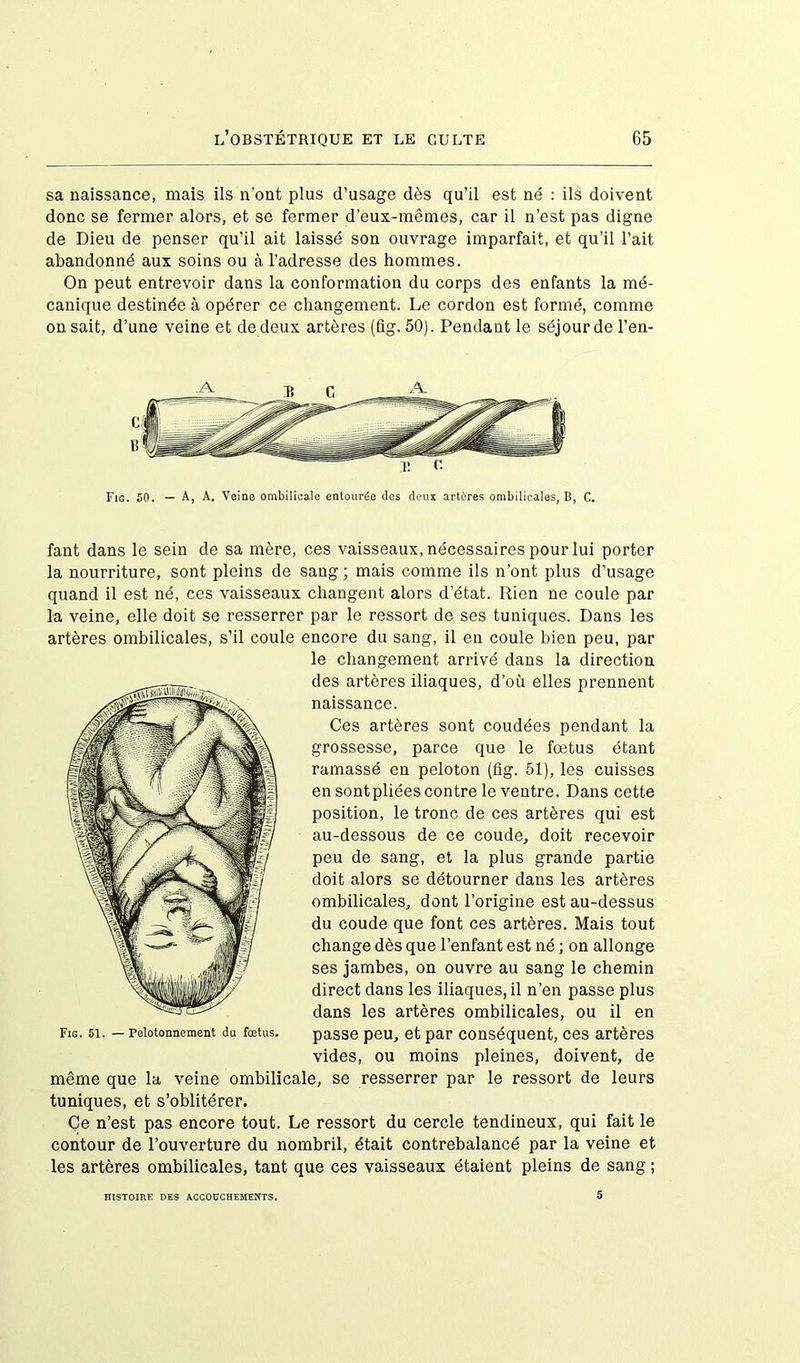 sa naissance, mais ils n’ont plus d’usage dès qu’il est né : ils doivent donc se fermer alors, et se fermer d’eux-mêmes, car il n’est pas digne de Dieu de penser qu’il ait laissé son ouvrage imparfait, et qu’il l’ait abandonné aux soins ou à l’adresse des hommes. On peut entrevoir dans la conformation du corps des enfants la mé- canique destinée à opérer ce changement. Le cordon est formé, comme on sait, d’une veine et de deux artères (fig. 50). Pendant le séjour de l’en- A 35 C A C B ~ 31 C- Fig. 50. — A, A. Veine ombilicale entourée des deur artères ombilicales, B, C. fant dans le sein de sa mère, ces vaisseaux, nécessaires pour lui porter la nourriture, sont pleins de sang; mais comme ils n’ont plus d’usage quand il est né, ces vaisseaux changent alors d’état. Rien ne coule par la veine, elle doit se resserrer par le ressort de ses tuniques. Dans les artères ombilicales, s’il coule encore du sang, il en coule bien peu, par le changement arrivé dans la direction des artères iliaques, d’où elles prennent naissance. Ces artères sont coudées pendant la grossesse, parce que le fœtus étant ramassé en peloton (fig. 51), les cuisses en sontpliées contre le ventre. Dans cette position, le tronc de ces artères qui est au-dessous de ce coude, doit recevoir peu de sang, et la plus grande partie doit alors se détourner dans les artères ombilicales, dont l’origine est au-dessus du coude que font ces artères. Mais tout change dès que l’enfant est né ; on allonge ses jambes, on ouvre au sang le chemin direct dans les iliaques, il n’en passe plus dans les artères ombilicales, ou il en passe peu, et par conséquent, ces artères vides, ou moins pleines, doivent, de même que la veine ombilicale, se resserrer par le ressort de leurs tuniques, et s’oblitérer. Ce n’est pas encore tout. Le ressort du cercle tendineux, qui fait le contour de l’ouverture du nombril, était contrebalancé par la veine et les artères ombilicales, tant que ces vaisseaux étaient pleins de sang ; HISTOIRE DES ACCOUCHEMENTS. 5