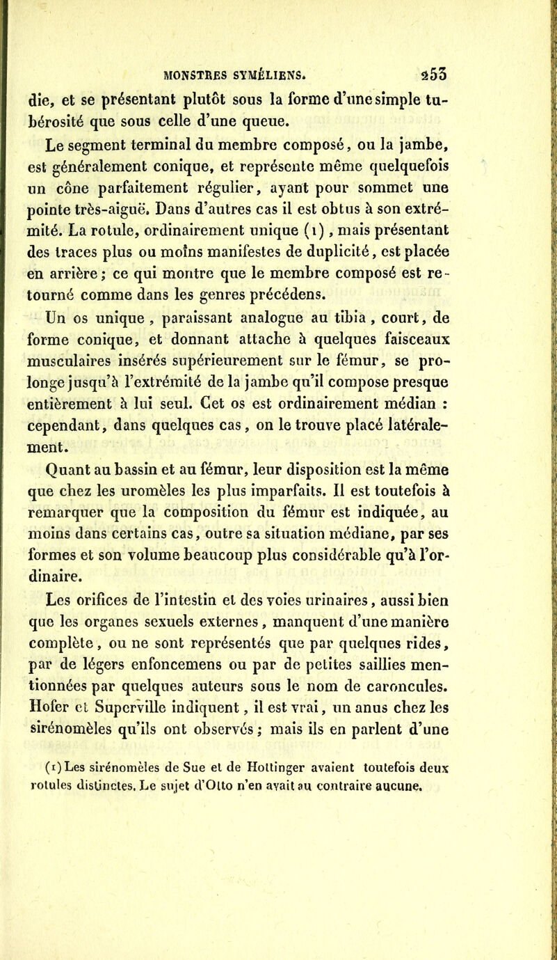 die, et se présentant plutôt sous la forme d’une simple tu- bérosité que sous celle d’une queue. Le segment terminal du membre composé, ou la jambe, est généralement conique, et représente même quelquefois un cône parfaitement régulier, ayant pour sommet une pointe très-aiguë. Dans d’autres cas il est obtus à son extré- mité. La rotule, ordinairement unique (i), mais présentant des traces plus ou moins manifestes de duplicité, est placée en arrière; ce qui montre que le membre composé est re- tourné comme dans les genres précédons. Un os unique , paraissant analogue au tibia, court, de forme conique, et donnant attache à quelques faisceaux musculaires insérés supérieurement sur le fémur, se pro- longe jusqu’à l’extrémité de la jambe qu’il compose presque entièrement à lui seul. Cet os est ordinairement médian : cependant, dans quelques cas, on le trouve placé latérale- ment. Quant au bassin et au fémur, leur disposition est la même que chez les uromèles les plus imparfaits. Il est toutefois à remarquer que la composition du fémur est indiquée, au moins dans certains cas, outre sa situation médiane, par ses formes et son volume beaucoup plus considérable qu’à l’or- dinaire. Les orifices de l’in testin et des voies urinaires, aussi bien que les organes sexuels externes , manquent d’une manière complète, ou ne sont représentés que par quelques rides, par de légers enfoncemens ou par de petites saillies men- tionnées par quelques auteurs sous le nom de caroncules. Hofer el Supcrville indiquent, il est vrai, un anus chez les sirénomèles qu’ils ont observés ; mais ils en parlent d’une (i)Les sirénomèles de Sue el de Hollinger avaient toutefois deux rotules distinctes. Le sujet d’Ouo n’en avait au contraire aucune.