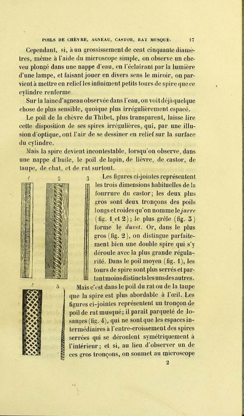 Cependant, si, à un grossissement de cent cinquante diamè- tres, même à l'aide du microscope simple, on observe un che- veu plongé dans une nappe d'eau, en l'éclairant par la lumière d'une lampe, et faisant jouer en divers sens le miroir, on par- vient à mettre en relief les infiniment petits tours de spire que ce cylindre renferme. Sur la laine d'agneau observée dans l'eau, on voit déjà quelque chose de plus sensible, quoique plus irrégulièrement espacé. Le poil de la chèvre du Thibet, plus transparent, laisse lire cette disposition de ses spires irrégulières, qui, par une illu- sion d'optique, ont l'air de se dessiner en relief sur la surface du cylindre. Mais la spire devient incontestable, lorsqu'on observe, dans une nappe d'huile, le poil de lapin, de lièvre, de castor, de taupe, de chat, et de rat surtout. Les figures ci-jointes représentent les trois dimensions habituelles de la fourrure du castor; les deux plus gros sont deux tronçons des poils longs et roides qu'on nomme le jarre (fig. 1 et2); le plus grêle (fig. 3) forme le duvet. Or, dans le plus gros (fig. 2), on distingue parfaite- ment bien une double spire qui s'y déroule avec la plus grande régula- rité. Dans le poil moyen (fig. 1), les tours de spire sont plus serrés et par- tan t moins distincts les uns des autres. Mais c'est dans le poil du rat ou de la taupe que la spire est plus abordable à l'œiL Les figures ci-jointes représentent un tronçon de poil de rat musqué; il paraît parqueté de lo- sanges (fig. 4), qui ne sont que les espaces in- termédiaires à l'entre-croissement des spires serrées qui se déroulent symétriquement à l'intérieur; et si, au lieu d'observer un de ces gros tronçons, on soumet au microscope 2