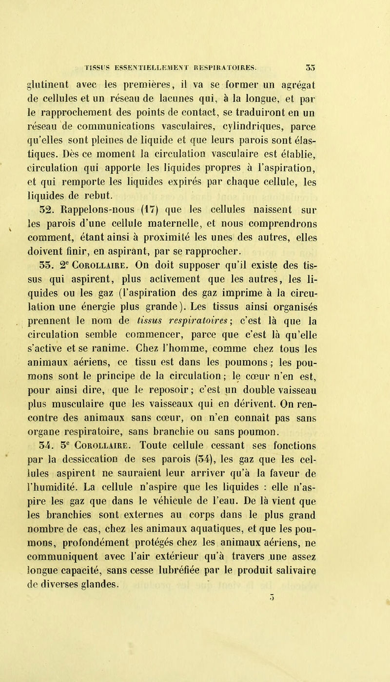 riSSl'S ESSENTIELLEMENT RESPIRATOIRES. 35 gliitinent avec les premières, il va se former un agrégat de cellules et un réseau de lacunes qui, à la longue, et par le rapprochement des points de contact, se traduiront en un réseau de communications vasculaires, cylindriques, parce qu'elles sont pleines de liquide et que leurs parois sont élas- tiques. Dès ce moment la circulation vasculaire est établie, circulation qui apporte les liquides propres à l'aspiration, et qui remporte les liquides expirés par chaque cellule, les liquides de rebut. 52. Rappelons-nous (17) que les cellules naissent sur les parois d'une cellule maternelle, et nous comprendrons comment, étant ainsi à proximité les unes des autres, elles doivent finir, en aspirant, par se rapprocher. 55. 2 Corollaire. On doit supposer qu'il existe des tis- sus qui aspirent, plus activement que les autres, les li- quides ou les gaz (l'aspiration des gaz imprime à la circu- lation une énergie plus grande). Les tissus ainsi organisés prennent le nom de tissus respiratoires; c'est là que la circulation semble commencer, parce que c'est là qu'elle s'active et se ranime. Chez l'homme, comme chez tous les animaux aériens, ce tissu est dans les poumons ; les pou- mons sont le principe de la circulation; le cœur n'en est, pour ainsi dire, que le reposoir ; c'est un double vaisseau plus musculaire que les vaisseaux qui en dérivent. On ren- contre des animaux sans cœur, on n'en connait pas sans organe respiratoire, sans branchie ou sans poumon. 54. 5'' Corollaire. Toute cellule cessant ses fonctions par la dessiccation de ses parois (54), les gaz que les cel- lules aspirent ne sauraient leur arriver qu'à la faveur de l'humidité. La cellule n'aspire que les liquides : elle n'as- pire les gaz que dans le véhicule de l'eau. De là vient que les branchies sont externes au corps dans le plus grand nombre de cas, chez les animaux aquatiques, et que les pou- mons, profondément protégés chez les animaux aériens, ne communiquent avec l'air extérieur qu'à travers une assez longue capacité, sans cesse lubréfiée par le produit salivaire de diverses glandes.