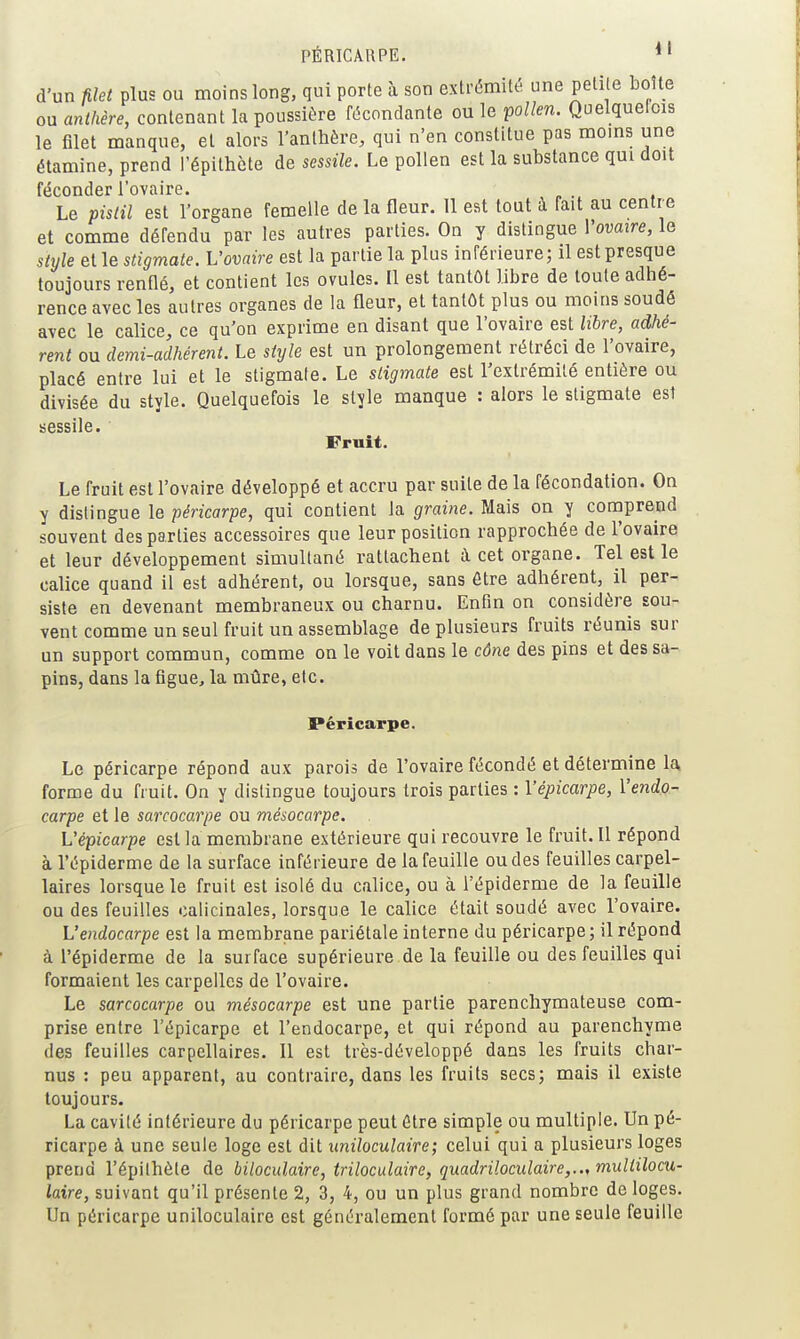 PÉRICARPE. *' d'un m plus ou moins long, qui porte à son extrémité une petite boîte ou anthère, contenant la poussière fécondante ou le po//en. Quelquefois le filet manque, et alors l'anllière, qui n'en constitue pas moms une étamine, prend l'épithcte de sessile. Le pollen est la substance qui doit féconder l'ovaire. Le pistil est l'organe femelle de la fleur. Il est tout à fait au centr e et comme défendu par les autres parties. On y distingue Vova^re, le style et le stigmate. Vovaire est la partie la plus inférieure; il est presque toujours renflé, et contient les ovules. Il est tantôt libre de toute adhé- rence avec les autres organes de la fleur, et tantôt plus ou moins soudé avec le calice, ce qu'on exprime en disant que l'ovaire est libre, adhé- rent ou demi-adhérent. Le style est un prolongement rétréci de l'ovaire, placé entre lui et le stigmate. Le stigmate est l'extrémité entière ou divisée du style. Quelquefois le style manque : alors le stigmate est sessile. Fruit. Le fruit est l'ovaire développé et accru par suite de la fécondation. On y dislingue le péricarpe, qui contient la graine. Mais on y coniprend souvent des parties accessoires que leur position rapprochée de l'ovaire et leur développement simultané rattachent à cet organe. Tel est le calice quand il est adhérent, ou lorsque, sans être adhérent, il per- siste en devenant membraneux ou charnu. Enfin on considère sou- vent comme un seul fruit un assemblage de plusieurs fruits réunis sur un support commun, comme on le voit dans le cône des pins et des sa- pins, dans la figue, la mûre, etc. Péricarpe. Le péricarpe répond aux parois de l'ovaire fécondé et détermine la forme du fruit. On y distingue toujours trois parties : Vépicarpe, Vendo- carpe et le sarcocarpe ou mésocarpe. , Vépicarpe est la membrane extérieure qui recouvre le fruit. Il répond àl'épiderme de la surface inférieure de la feuille ou des feuilles carpel- laires lorsque le fruit est isolé du calice, ou à l'épiderme de la feuille ou des feuilles calicinales, lorsque le calice était soudé avec l'ovaire. L'endocarpe est la membrane pariétale interne du péricarpe ; il répond à l'épiderme de la surface supérieure de la feuille ou des feuilles qui formaient les carpelles de l'ovaire. Le sarcocarpe ou mésocarpe est une partie parenchymateuse com- prise entre l'épicarpe et l'endocarpe, et qui répond au parenchyme des feuilles carpellaires. Il est très-développé dans les fruits char- nus : peu apparent, au contraire, dans les fruits secs; mais il existe toujours. La cavité intérieure du péricarpe peut être simple ou multiple. Un pé- ricarpe à une seule loge est dit unïloculaire; celui qui a plusieurs loges prend l'épilhète de biloculaire, trilocalaire, quadriloculaire,.., multilocu- laire, suivant qu'il présente 2, 3, 4, ou un plus grand nombre déloges. Un péricarpe uniloculaire est généralement formé par une seule feuille