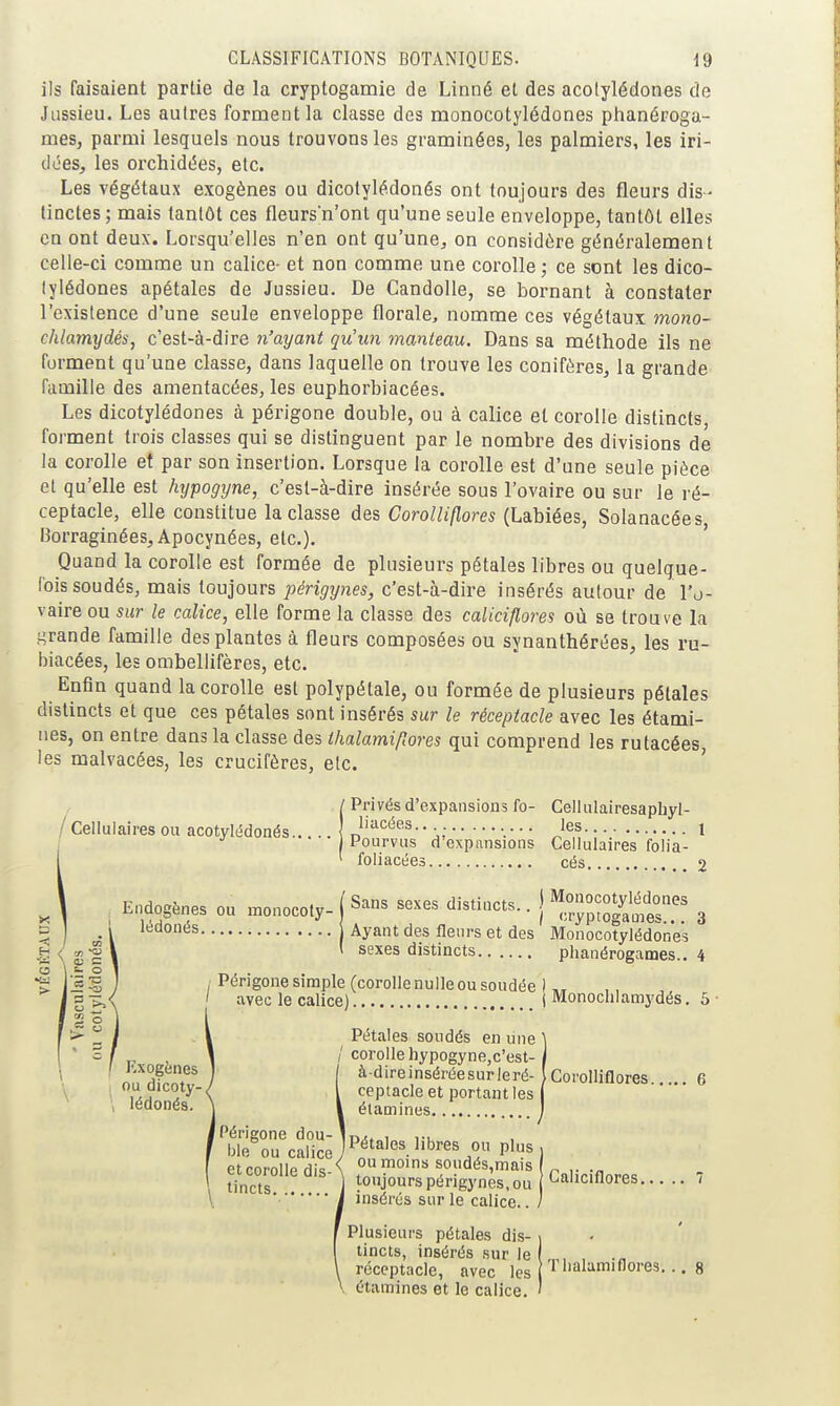 ils faisaient partie de la cryptogamie de Linné et des acolylédones de Jussieu. Les autres forment la classe des monocotylédones ptianéroga- mes, parmi lesquels nous trouvons les graminées, les palmiers, les iri- dées, les orchidées, etc. Les végétaux exogènes ou dicotylédonés ont toujours des fleurs dis- tinctes ; mais tantôt ces fleursn'ont qu'une seule enveloppe, tantôt elles en ont deux. Lorsqu'elles n'en ont qu'une^ on considère généralement celle-ci comme un calice- et non comme une corolle ; ce sont les dico- tylédones apétales de Jussieu. De Candolle, se bornant à constater l'existence d'une seule enveloppe florale, nomme ces végétaux mono- chlamydés, c'est-à-dire n'ayant quun manteau. Dans sa méthode ils ne forment qu'une classe, dans laquelle on trouve les conifères, la grande famille des amentacées, les euphorbiacées. Les dicotylédones à périgone double, ou à calice et corolle distincts, forment trois classes qui se distinguent par le nombre des divisions de la corolle et par son insertion. Lorsque la corolle est d'une seule pièce et qu'elle est hypogyne, c'est-à-dire insérée sous l'ovaire ou sur le ré- ceptacle, elle constitue la classe des CoroUiflores (Labiées, Solanacées, Borraginées, Apocynées, etc.). Quand la corolle est formée de plusieurs pétales libres ou quelque- fois soudés, mais toujours périgynes, c'est-à-dire insérés autour de l'o- vaire ou sur le calice, elle forme la classe des caliciflores où se trouve la lirande famille des plantes à fleurs composées ou synanthérées, les ru- l)iacées, les ombellifères, etc. Enfin quand la corolle est polypétale, ou formée de plusieurs pétales distincts et que ces pétales sont insérés sur le réceptacle avec les étami- nes, on entre dans la classe des thalami/lores qui comprend les rutacées les malvacées, les crucifères, etc. ' / Cellulaires ou acotylédonés