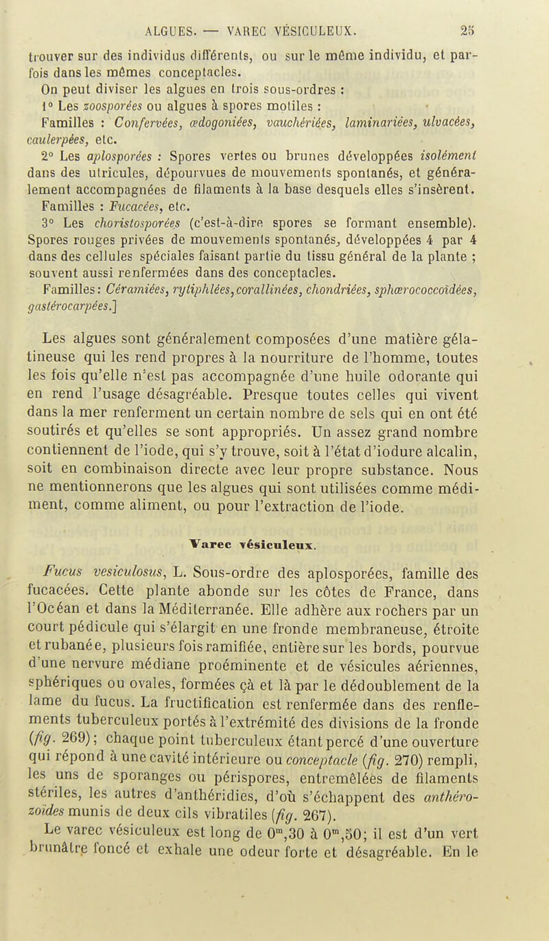 trouver sur des individus différents, ou sur le môme individu, et par- fois dans les mômes conceplacles. On peut diviser les algues en trois sous-ordres : l Les zoosporées ou algues à spores motiles : Familles : Confervées, cedogoniées, vauchériées, laminariées, ulvacées, caulerpées, etc. 2° Les aplosporées : Spores vertes ou brunes développées isolément dans des ulricules, dépourvues de mouvements spontanés, et généra- lement accompagnées de filaments à Ja base desquels elles s'insèrent. Familles : Fucacées, etc. 3 Les choristosporées (c'est-à-dire spores se formant ensemble). Spores rouges privées de mouvements spontanés^ développées 4 par 4 dans des cellules spéciales faisant partie du tissu général de la plante ; souvent aussi renfermées dans des conceplacles. Familles: Céramiées, ryiiphlées,corallinées, chofidriées, sphœrococcoîdées, gaslérocarpées.] Les algues sont généralement composées d'une matière géla- tineuse qui les rend propres à la nourriture de l'homme, toutes les fois qu'elle n'est pas accompagnée d'une huile odorante qui en rend l'usage désagréable. Presque toutes celles qui vivent dans la mer renferment un certain nombre de sels qui en ont été soutirés et qu'elles se sont appropriés. Un assez grand nombre contiennent de l'iode, qui s'y trouve, soit à l'état d'iodure alcalin, soit en combinaison directe avec leur propre substance. Nous ne mentionnerons que les algues qui sont utilisées comme médi- ment, comme aliment, ou pour l'extraction de l'iode. Varec vésiculeux. Fucus vesiculosus, L. Sous-ordre des aplosporées, famille des fucacées. Cette plante abonde sur les côtes de France, dans l'Océan et dans la Méditerranée. Elle adhère aux rochers par un court pédicule qui s'élargit en une fronde membraneuse, étroite etrubanée, plusieurs fois ramifiée, entière sur les bords, pourvue d'une nervure médiane proéminente et de vésicules aériennes, sphériques ou ovales, formées çà et là par le dédoublement de la lame du fucus. La fructiflcalion est renfermée dans des renfle- ments tuberculeux portés à l'extrémité des divisions de la fronde (fig. 269); chaque point tuberculeux étant percé d'une ouverture qui répond à une cavité intérieure ou conceptacle {fig. 270) rempli, les uns de sporanges ou périspores, entremêlées de filaments stériles, les autres d'anthéridies, d'où s'échappent des anthéro- zoïdes munis de deux cils vibratiles (fig. 267). Le varec vésiculeux est long de 0,30 à O^jSO; il est d'un vert brunâtre foncé et exhale une odeur forte et désagréable. En le