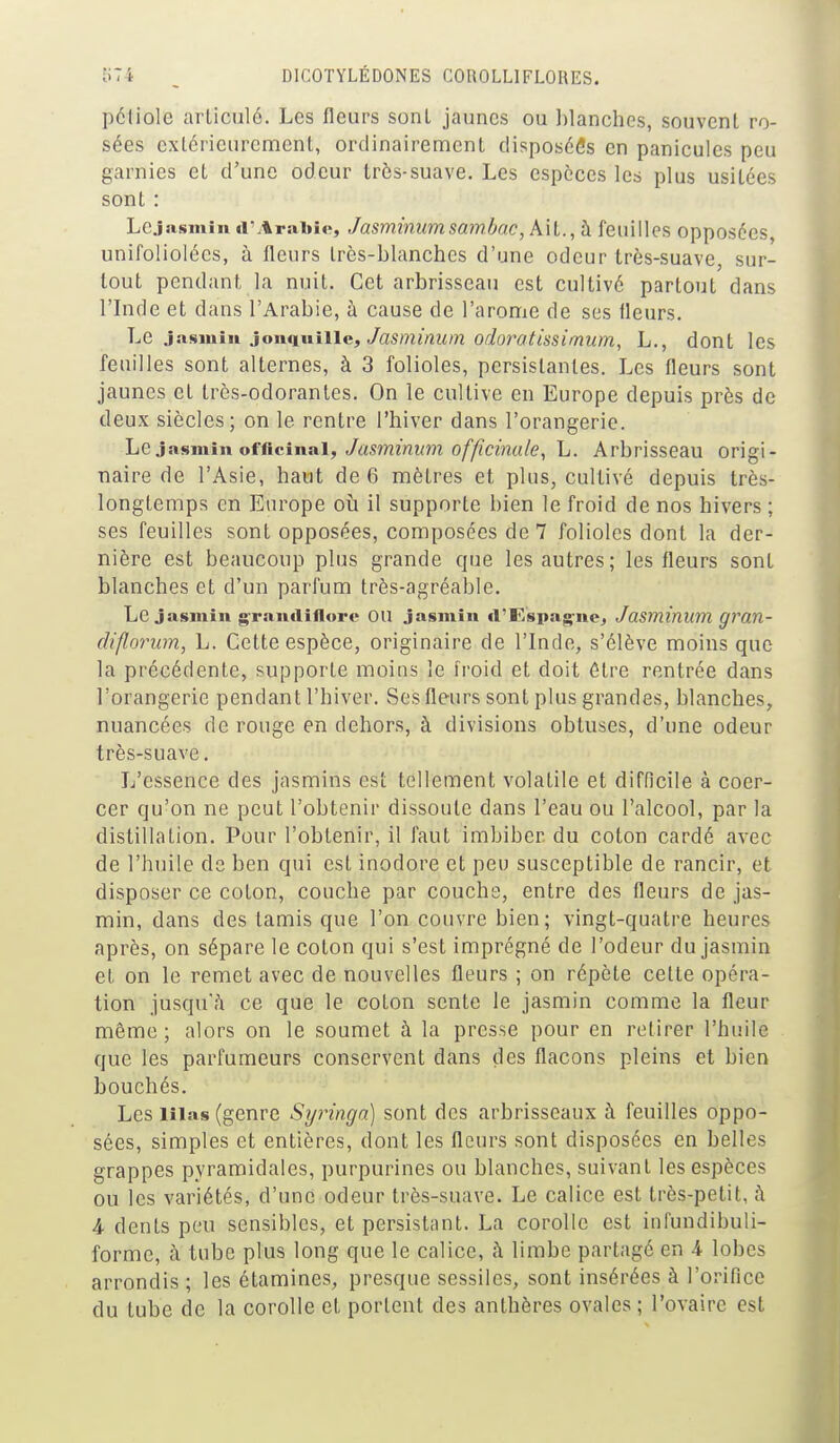 péliole articulé. Les fleurs sont jaunes ou blanches, souvent ro- sées extérieurement, ordinairement disposées en panicules peu garnies et d'une odeur très-suave. Les espèces les plus usitées sont : Lcjasmiu d'Arabio, Jasminumsam.bac, k\i., à feuilles opposées, unifoliolécs, à fleurs très-blanches d'une odeur très-suave, sur- tout pendant la nuit. Cet arbrisseau est cultivé partout dans l'Inde et dans l'Arabie, à cause de l'arôme de ses fleurs. jasnxïn îoiui\\\\\c, Jasminiim odoratissirnum, L., dont les feuilles sont alternes, à 3 folioles, persistantes. Les fleurs sont jaunes et très-odorantes. On le cultive en Europe depuis près de deux siècles; on le rentre l'hiver dans l'orangerie. \jQ3»Hri\\ri offic\nsk\, Jasminum officinale, L. Arbrisseau origi- naire de l'Asie, haut de 6 mètres et plus, cultivé depuis très- longtemps en Europe o\\ il supporte bien le froid de nos hivers ; ses feuilles sont opposées, composées de 7 folioles dont la der- nière est beaucoup plus grande que les autres; les fleurs sont blanches et d'un parfum très-agréable. Le jasmin graniliflore OU jasmin «l'Kspag'ne, Jasmînum gran- diflorum, L. Cette espèce, originaire de l'Inde, s'élève moins que la précédente, supporte moins le froid et doit être rentrée dans l'orangerie pendant l'hiver. Ses fleurs sont plus grandes, blanches, nuancées de rouge en dehors, à divisions obtuses, d'une odeur très-suave. L'essence des jasmins est tellement volatile et difOcile à coer- cer qu'on ne peut l'obtenir dissoute dans l'eau ou l'alcool, par la distillation. Pour l'obtenir, il faut imbiber du coton cardé avec de l'huile de ben qui est inodore et peu susceptible de rancir, et disposer ce coton, couche par couche, entre des fleurs de jas- min, dans des tamis que l'on couvre bien; vingt-quatre heures après, on sépare le coton qui s'est imprégné de l'odeur du jasmin et on le remet avec de nouvelles fleurs ; on répète celte opéra- tion jusqu'à ce que le coton sente le jasmin comme la fleur même; alors on le soumet à la presse pour en retirer l'huile que les parfumeurs conservent dans des flacons pleins et bien bouchés. Les lîias (genre Syringa) sont des arbrisseaux à feuilles oppo- sées, simples et entières, dont les fleurs sont disposées en belles grappes pyramidales, purpurines ou blanches, suivant les espèces ou les variétés, d'une odeur très-suave. Le calice est très-petit, à 4 dents peu sensibles, et persistant. La corolle est infundibuli- forme, à tube plus long que le calice, à limbe partagé en 4 lobes arrondis ; les étamines, presque sessiles, sont insérées à l'orifice du tube de la corolle et portent des anthères ovales ; l'ovaire est