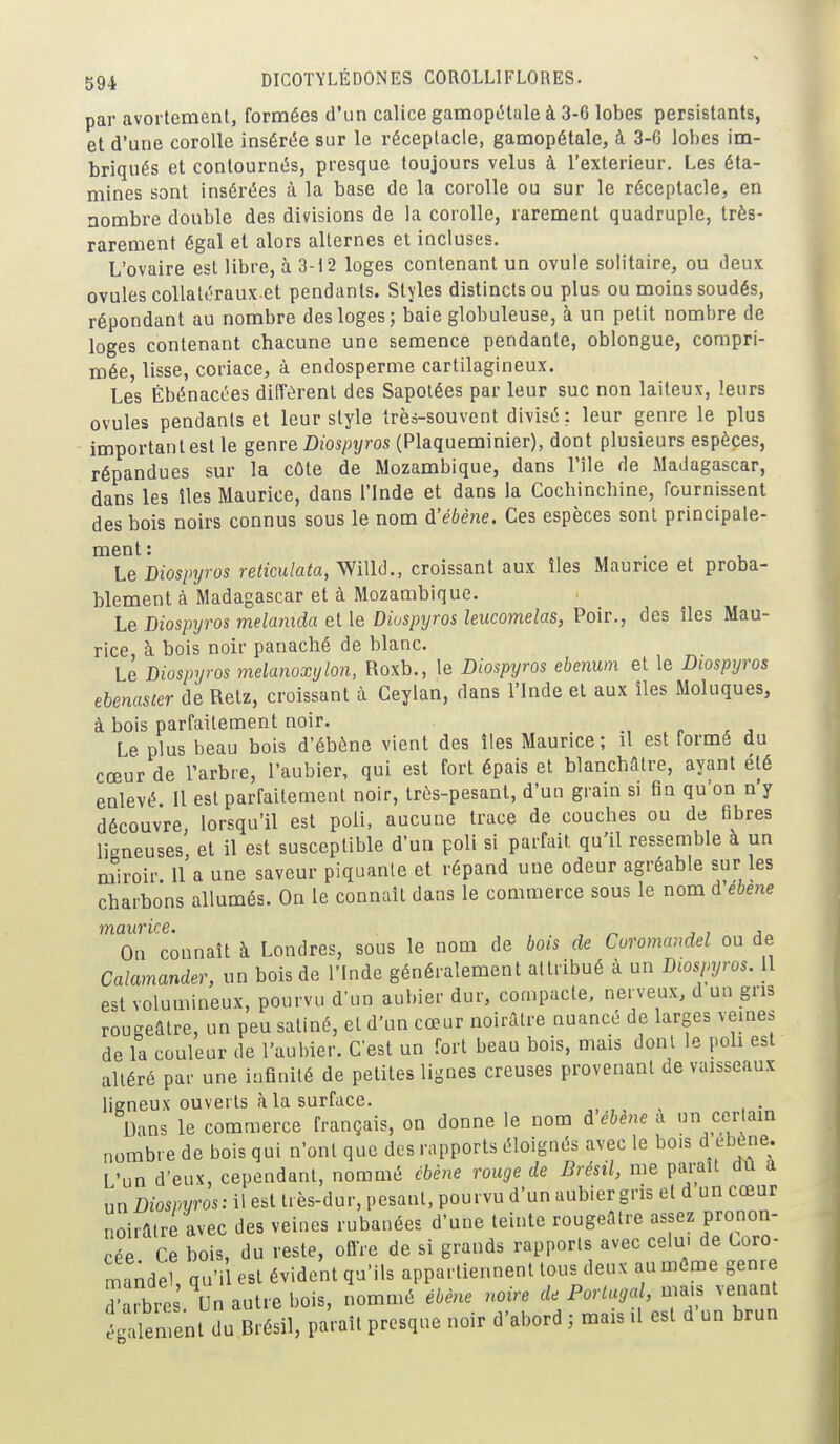 par avorlement, formées d'un calice gamopétale à 3-6 lobes persistants, et d'une corolle insérée sur le réceptacle, gamopétale, à 3-6 lobes im- briqués et contournés, presque toujours velus à l'extérieur. Les éta- mines sont insérées à la base de la corolle ou sur le réceptacle, en nombre double des divisions de la corolle, rarement quadruple, très- rarement égal et alors alternes et incluses. L'ovaire est libre, à 3-12 loges contenant un ovule solitaire, ou deux ovules collatéraux et pendants. Styles distincts ou plus ou moins soudés, répondant au nombre des loges; baie globuleuse, à un petit nombre de loges contenant chacune une semence pendante, oblongue, compri- mée, lisse, coriace, à endosperme cartilagineux. Les Ébénacées diffèrent des Sapolées par leur suc non laiteux, leurs ovules pendants et leur style très-souvent divisé: leur genre le plus important est le genre Diospyros (Plaqueminier), dont plusieurs espèces, répandues sur la côte de Mozambique, dans IMle de Madagascar, dans les îles Maurice, dans l'Inde et dans la Cocbinchine, fournissent des bois noirs connus sous le nom d'ébène. Ces espèces sont principale- ment: . Le Diospyros reticulata, Willd., croissant aux îles Maurice et proba- blement à Madagascar et à Mozambique. Le Diospyros melanida et le Diuspyros leucomelas, Poir., des îles Mau- rice à bois noir panaché de blanc. Le Diospyros melanoxylon, Roxb., le Diospyros ehenum et le Diospyros ebenaster de Retz, croissant à Ceylan, dans l'Inde et aux îles Moluques, à bois parfaitement noir. n . , Le plus beau bois d'ébène vient des îles Maurice; il est formé du cœur de l'arbre, l'aubier, qui est fort épais et blanchâtre, ayant été enlevé II est parfaitement noir, très-pesant, d'un grain si fin qu'on n'y découvre, lorsqu'il est poli, aucune trace de couches ou de fibres ligneuses, et il est susceptible d'un poli si parfait qu'il ressemble à un miroir 11 a une saveur piquante et répand une odeur agréable sur les charbons allumés. On le connaît dans le commerce sous le nom à'ebene maurice. , , , On connaît à Londres, sous le nom de bois de Coromandel ou de Calamander, un bois de l'Inde généralement attribué à un Diospyros. 11 est volumineux, pourvu d'un aubier dur, compacte, nerveux, d un gris rougeâtre, un peu satiné, et d'un cœur noirâtre nuancé de larges veines de la couleur de l'aubier. C'est un fort beau bois, mais dont le poli est altéré par une infinité de petites lignes creuses provenant de vaisseaux ligneux ouverts à la surface. Dans le commerce français, on donne le nom àébene a un cer am nombre de bois qui n'ont que des rapports éloignés avec le bois d ebène. L'un d'eux, cependant, nommé cbène rouge de Brésil, me parait dû a un Diospyros: il est très-dur, pesant, pourvu d'un aubier gris et d un cœur noirâtre avec des veines rubanées d'une teinte rougeâtre assez pronon- cée Ce bois, du reste, ofire de si grands rapports avec celu- de Coro- mandel, qu'i est évident qu'ils appartiennent tous deux au môme genre TaXvVs Un autre bois, nommé ébène noire de Portugal mais venant également du Brésil, paraît presque noir d'abord ; mais il est d un brun