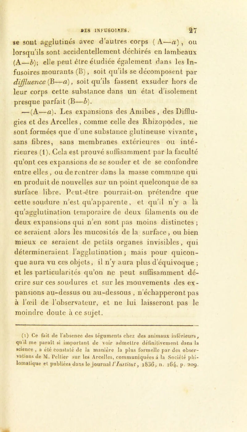 se sont agglutinés avec d’autres corps { A—a), ou lorsqu’ils sont accidentellement déchirés en lambeaux (A—^); elle peut être étudiée également dans les In- fusoires mourants (B), soit qu’ils se décomposent par diffluence (B—a), soit qu’ils fassent exsuder hors de leur corps cette substance dans un état d’isolement presque parfait (B—b). — (A—n). Les expansions des Amibes , des Difflu- gies et des Arcelles , comme celle des Rhizopodes, ne sont formées que d’une substance glutineuse vivante , sans fibres, sans membranes extérieures ou inté- rieures (1). Gela est prouvé suffisamment par la faculté qu’ont ces expansions de se souder et de se confondre entre elles , ou de rentrer dans la masse commune qui en produit de nouvelles sur un point quelconque de sa surface libre. Peut-être pourrait-on prétendre que cette soudure n’est qu’apparente, et qu’il n’y a là qu’agglulination temporaire de deux filaments ou de deux expansions qui n’en sont pas moins distinctes ; ce seraient alors les mucosités de la surface, ou bien mieux ce seraient de petits organes invisibles, qui détermineraient l’agglutination ; mais pour cjuicon- que aura vu ces objets, il n’y aura plus d’équivoque ; et les particularités qu’on ne peut suffisamment dé- crire sur ces soudures et sur les mouvements des ex- pansions au-dessus ou au-dessous , n’échapperont pas à l’œil de l’observateur, et ne lui laisseront pas le moindre doute à ce sujet. (i) Ce fait de l’absence des téguments chez des animaux inférieurs, qu il me paraît si important de voir admettre définitivement dans la science , a été constaté de la manière la plus formelle par des obser- vations de M. rdtier sur les Arcelles, communiquées ,à la Société phi- lomatique et publiées dans le journal l'Instilut, i83G, n, 164. p. 209.