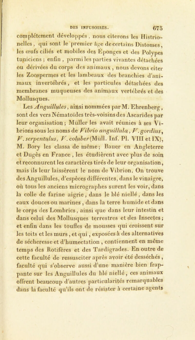complètement développés , nous citerons les Histrio- nelles, qui sont le premier â^e decertains Distonies, les œufs ciliés et mobiles des Éponges et des Polypes tuniciens ; enfin, parmi les parties vivantes détachées ou dérivées du corps des animaux , nous devons citer les Zoospermes et les lambeaux des branchies d’ani- maux invertébrés, et les particules détachées des membranes muqueuses des animaux vertébrés et des Mollusques. Les Anguillules, ainsi nommées par M. Ehrenberg, sont des versNématoïdes très-voisins des Ascarides par leur organisation ; Müller les avait réunies à ses Vi- brions sous les noms de Vihrio anguillula, V. gordius, V. serpentidus, V.coluber(JAv\\. Inf. PI. VIII et IX), M. Bory les classa de même; Bauer en Angleterre et Dugès en France , les étudièrent avec plus de soin et reconnurent les caractères tirés de leur organisation, mais ils leur laissèrent le nom de Vibrion. On trouve des Anguillules, d’espèces différentes, dans le vinaigre, où tous les anciens micrographes surent les voir, dans la colle de farine aigrie, dans le blé niellé , dans les eaux douces ou marines , dans la terre humide et dans le corps des Lombrics, ainsi que dans leur intestin et dans celui des Mollusques terrestres et des Insectes ; et enfin dans les touffes de mousses qui croissent sur les toits et les murs, et qui, exposées à des alternatives de sécheresse et d’humectation , contiennent en même temps des Rotifères et des Tardigrades. En outre de cette faculté de ressusciter après avoir été desséchés , faculté qui s’observe aussi d’une manière bien frap- pante sur les Anguillules du blé niellé , ces animaux offrent beaucoup d’autres particularités remarquables dans la faculté qu’ils ont de résister à certaine agents