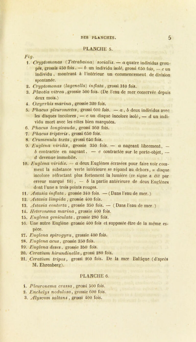 PLANCHE 5. Fig. 1. Cryptomonas (Tetrabama) sociaîis. — oquatre individus grou- pés, grossis 450 fois, — 6 un individu isolé, grossi 650 fois, — c un individu , montrant à l'intérieur un commencement de division spontanée. 2. Cryptomonas {lagenella) inflata, grossi 310 fois. 3. Plœotia vitrea , grossie 500 fois. (De l’eau de mer conservée depuis deux mois.) 4. Ooryrrhis marina, grossie 320 fois. 5. Phacus pleuronectes, grossi 600 fois. — a, b deux individus avec les disques incolores, — c un disque incolore isolé, — dm indi- vidu mort avec les eûtes bien marquées. 6. Phacus longicauda, grossi 560 fois. 7. Phacus tripteris, grossi 650 fois. 8. Crumenula texta, grossi 650 fois. 9. Euglena viridis, grossie 350 fois. — a nageant librement, — b contractée en nageant, — c contractée sur le porte-objet, — d devenue immobile. 10. Euglena viridis. — a deux Euglénes écrasées pour faire voir com- ment la substance verte intérieure se répand au dehors, ce disque incolore réfractant plus fortement la lumière (ce signe a été par erreur marqué 10), — 6 la partie antérieure de deux Euglénes dont l'une a trois points rouges. 11. jlstasia inflata, grossie 340 fois. —(Dans l’eau de mer.) 12. Astasia limpida, grossie 400 fois. 13. Astasia contorta, grossie 350 fois. — (Dans l’eau de mer.) 14. Heteronema marina, grossie 400 fois. 15. Euglena geniculata, grossie 280 fois. 16. Une autre Eugléne grossie 400 fois et supposée être de la même es- pece. 17. Euglena spirogtyra, grossie 400 fois. 18. Euglena acus, grossie 350 fois. 19. Euglena deses, grossie 350 fois. 20. Ceratium hirundinella, grossi 280 fois. a. Ceratium tripos, grossi 200 fois. De la mer Baltique (d’après M. Ehrenberg). PLANCHE 6. 1. Pleuronema crassa, grossi 500 fois. 2. Enchelys nodulosa, grossie 600 fois. 3. Alyscum saltans, grossi 400 fois.