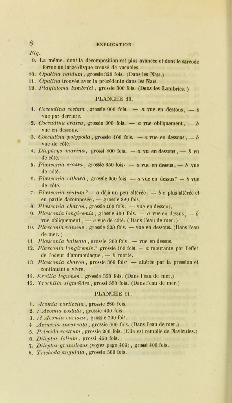 Fig. 9. Ln môme, dont la décomposition est plus avancée et dont le sarcode forme un large disque creusé de vacuoles. 10. Opaiinn naidum, grossie 320 fois. (Dans les Nais.) 11. Opalina trouvée avec la précédente dans les Naïs. 12. Plagiotoma lumbrici , grossie 30C fois. (Dons les Lombrics. ) PLANCHE 10. 1. Coccudina costata, grossie 900 fois. — a vue en dessous, — b vue par derrière. 2. Coccudina crassa, grossie 300 fois. — a vue obliquement, — b vue en dessous. 3. Coccudina polypoda, grossie iOO fois. — a vue en dessous, — b vue de cOté. i. Diophrys marina, grossi 400 fois. — a vu en dessous, — ô vu de cdlé. 5. Plœsconia crassa , grossie 350 fois. — a vue en dessus, — b vue de côté. G. Plœsconia citliara, grossie 360 fois. — a vue en dessus? — b vue de côté. 7. Plœsconia scutum?— a déjà un peu altérée, — b-c plus altérée et en partie décomposée, — grossie 320 fois. 8. Plœsconia charon, grossie 400 fois, — vue en dessous. 9. Plœsconia longiremis, grossie 400 fois. — a vue en dessus, — ô' vue obliquement, — c vue de côtéi ( Dans l’eau de mer.) 10. Plœsconia vannas , grossie 320 fois. — vue en dessous. (Dans l’eau de mer. ) 11. Plœsconia balteata, grossie 300 fois, — vue en dessus. 12. Plœsconia longiremis ? grossie 460 fois. — a mourante par l'elTet de l'odeur d’ammoniaque, — b morte. 13. Plœsconia charon, grossie 360 fois* — altérée par la pression et continuant à vivre. 14. Ervilia legumen, grossie 350 fois. (Dans l’eau de mer.) 15. Trochüia sigmmdes, grossi 360 fois. (Dans l’eau de mer ) PLANCHE 11. 1. Acomia vorticella , grossie 280 fois. 2. ? Acomia costata , grossie 400 fois. 3. ?? Acomia varians, grossie 700 fois. 4. Acineria incurvata, grossie 600 fois. (Dans l’eau de mer.) 5. Pelecida rostrum, grossie 200 fois, (tille est remplie de Navicules.) 6. Dilepius folium , grossi 450 fois. 7. Dilepius granulosus (voyez page 409), grossi 400 fois. 8. Trichoda angulata, grossie 500 fois.