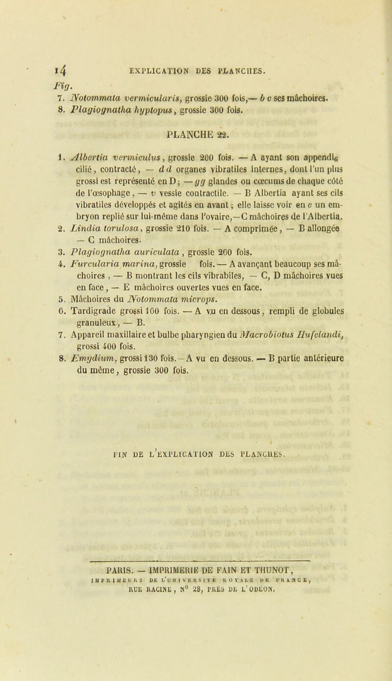 EXPLICATION DES PLANCHES. *4 i'ig. 7. JVolommata vermicularis, grossie 300 fols,— b c ses mûchoires. 8. Plagiognalha hyplopus, grossie 300 fols. PLANCHE 22. 1. Albcrtia vermiculus, grossie 200 fois. —A ayant son appendifi cilié, contracté, — dd organes vibralilcs internes, dont l’un plus grossi est représenté en D ; — gg glandes ou cæcums de chaque côté de l’œsophage, — t; vessie contractile. — B Albertia ayant ses cils vibralilcs développés et agités en avant ; elle laisse voir en e un em- bryon replié sur lui-même dans l'ovaire,—C mâchoires de l’Albertia. 2. Lindia torulosa, grossie 210 fois. — A comprimée, — B allongée — C mâchoires. 3. Plagiognatha auriculata, grossie 200 fois. i, Furcularia marina, grossie fois. — A avançant beaucoup ses mâ- choires , — B montrant les cils vibrabiles, — C, D mâchoires vues en face, — E mâchoires ouvertes vues en face. 5. Mâchoires du JYotommala microps. G, Tardigrade grossi 100 fois. — A vd en dessous, rempli de globules granuleux, — B. 7, Appareil maxillaire et bulbe pharyngien du Macrobiotus Rufdandi, grossi ■lOO fois. 8. Emydium, grossi 130 fois.—A vu en dessous. — B partie antérieure du même, grossie 300 fois. ITN DE L’EXPLICATtON DES PLANCHES. PAUIS. — IMPlllMliRll!; DE FAIN ET THUNOT, lUi'HIiUi:UKS DË j/u N I V K II s I T K. UÜYALË U Ë Ir'Il A C £ , RUü UAClNü, rutb ])h L’üDiîOM.