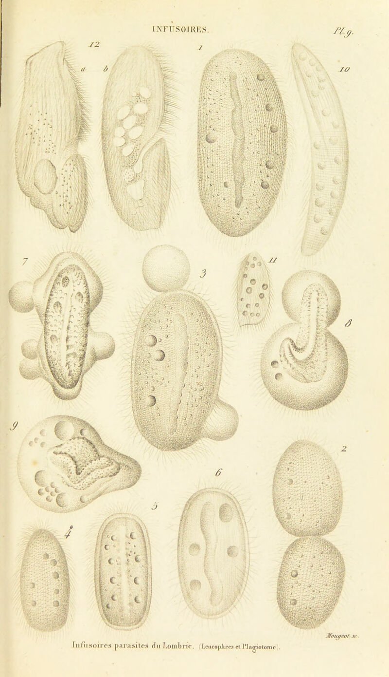 /O a « O ® <•- O ' of(