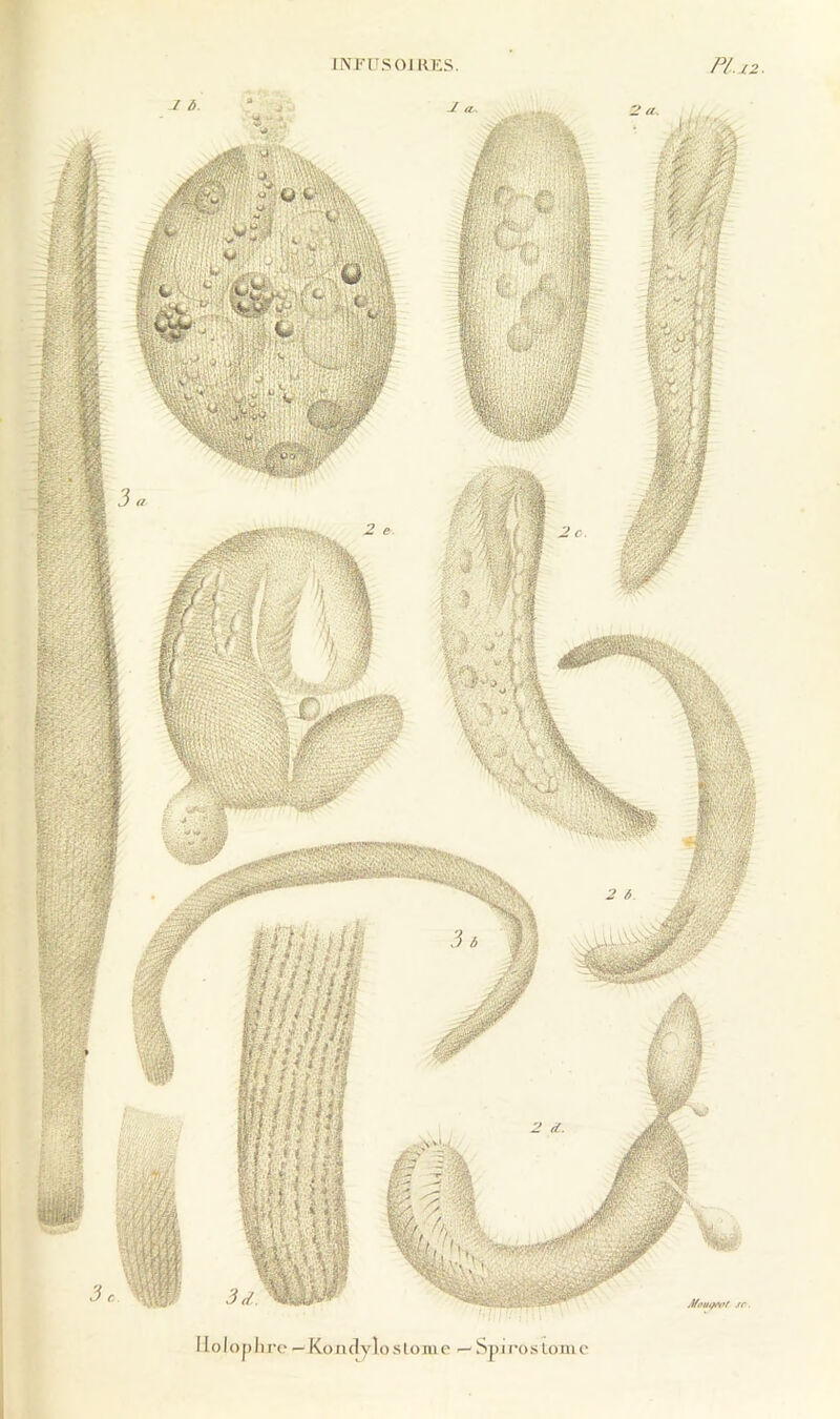 INI'T.SOIKKS. PI.I2. 11010 P lire — Ko II dy 10 s l om e -- S]i i l’o s Lo m c i