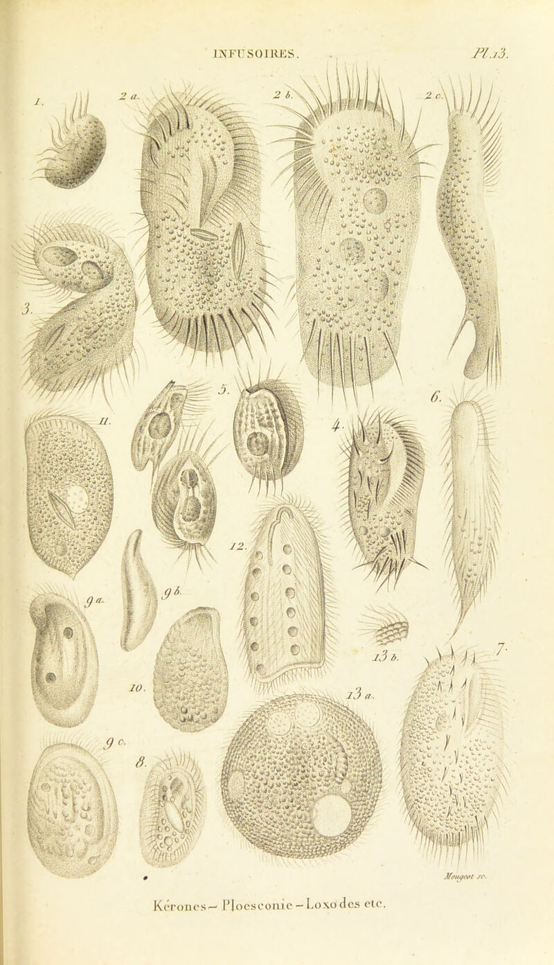 IM'TSOI Ries 'âmm l’Ioc.sooiiic - 1.0X0 n.i3. Si'