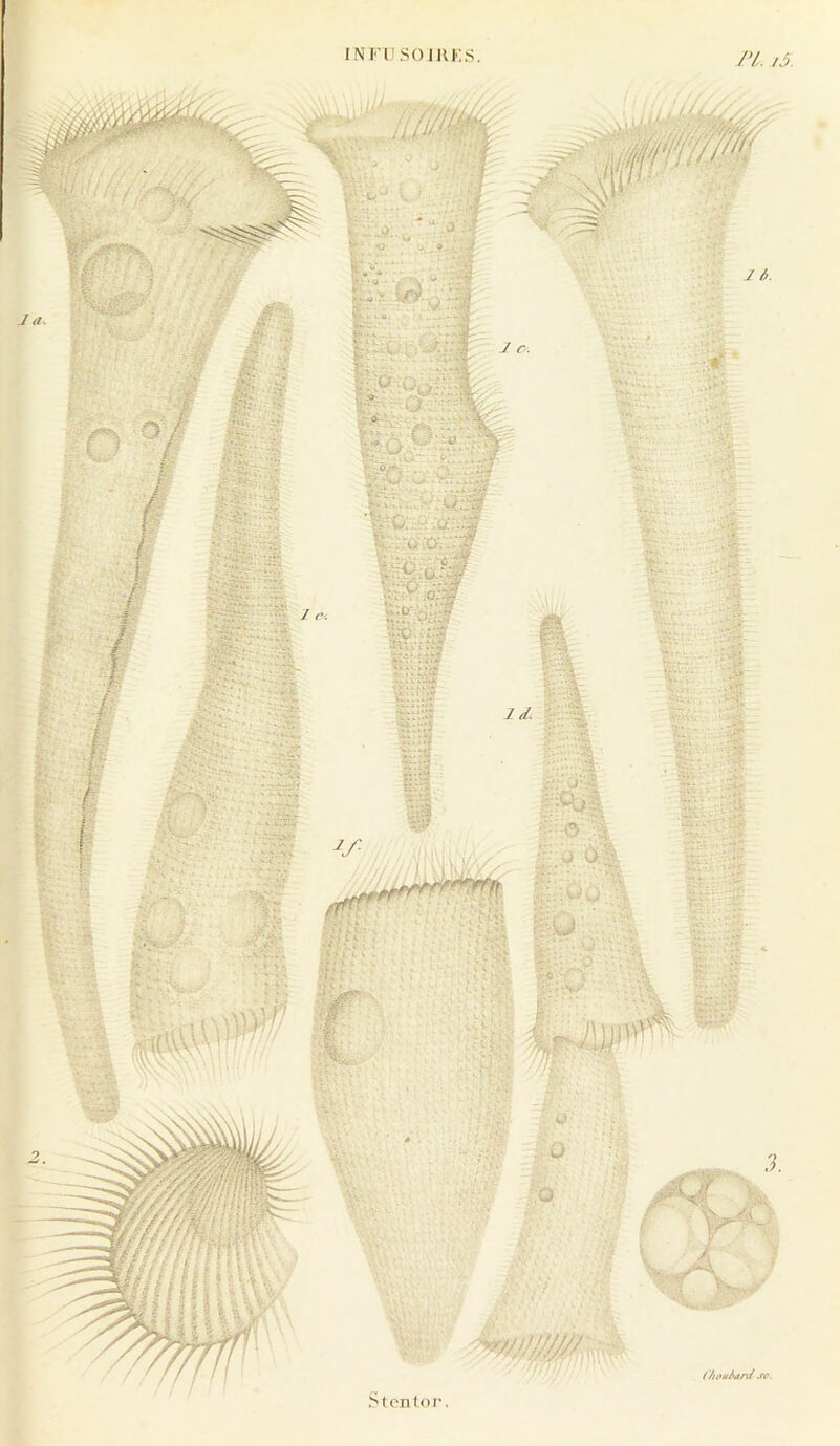 INFn.SOJHKS. PL /5. 'U ' ' i P! f f.^ ^• 1 O ■%(# Slontor'. mi ■■;;,i Ï>ï,v<^ .<r.