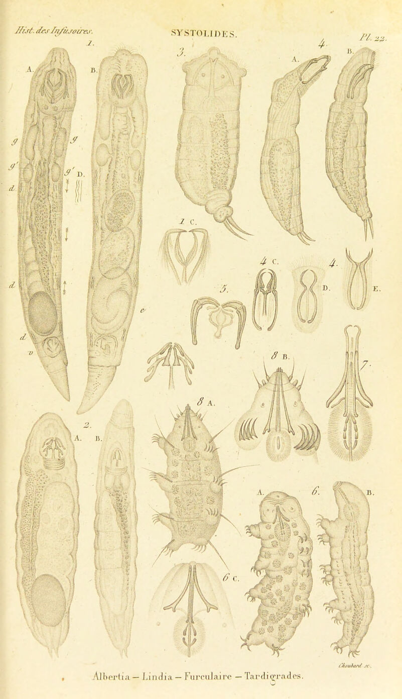 //fir/. /Irs /n/ùj'otrej- ('Âouiart/ JT. Alberlua— l.iiuiia — Fui’culairc — Tard iQ;ra «les