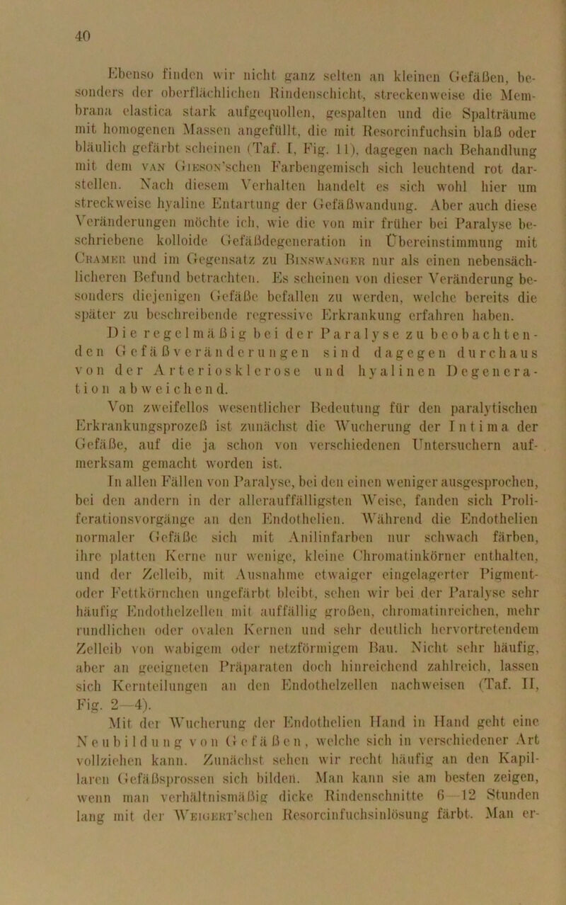 Ebenso finden wir nicht ganz selten an kleincn Gefiiflen, be- sonders der oberflachlichen Rindenschicht, streckenweise die Mem- brana elastica stark aufgequollen, gespalten und die Spaltraume mit homogenen Massen angefiillt, die mit Resorcinfuchsin blaB oder blaulich gefarbt scheinen (Taf. I, Fig. 11), dagegen nacli Behandlung mit deni van GiKsoN’schen Farbengemisch sich leuchtend rot dar- stellen. Nach diesem Verhalten handelt es sich wohl bier nm streckweisc hyaline Entartung der Gefafiwandung. Aber auch diese Veranderungen mochte idi, wie die von mir frtiher bei Paralyse be- schriebenc kolloide Gefafldegcneration in tlbereinstimmung mit Cramer und im Gegensatz zu Binswancjer nur als einen nebensach- licheren Befund betrachten. Es scheinen von dieser Veranderung be- sonders diejenigen Gefafle befallen zu werden, welche bereits die spater zu beschreibende regressive Erkrankung erfahren liaben. D i e r e g e 1 m a Li i g bei d e r Paralyse z u b e o b a c h t e n - den G e f a fiv e r an derun gen sin d d a g e g e n d u rc ha u s von der Arteriosklerose u n d h y a 1 i n e n Degenera- tion a b w e i c h e n d. Von zvveifellos wesentlicher Bedeutung fur den paralytischen ErkrankungsprozeB ist zimachst die Wucherung dcr Intima der GefaBe, auf die ja schon von verschiedenen Untersuchern auf- merksam gemacht worden ist. I n alien Fallen von Paralyse, bei den einen weniger ausgesprochen, bei den andern in der allerauffalligsten Weisc, fanden sich Proli- ferationsvorgange an den Endothelien. Wahrend die Endothclien normaler GefaBe sich mit Anilinfarben nur schwach farben, ihre platten Kerne nur wenige, kleine Chromatinkorner enthalten, und der Zelleib, mit Ausnahme ctwaiger eingelagerter Pigment- oder Fettkdrnchen ungefarbt bleibt, sehen wir bei der Paralyse sehr haul*ig Endothelzellen mil auflallig groBen, chromatinreichen, mehr rundlichen oder ovalen Kernen und sehr deutlich hervortretendem Zelleib von vvabigem oder netzformigem Pan. Niclit sehr haufig, aber an gecigneten Prajiaraten doch hinreichend zahlreich, lasscn sich Kernteilungen an den Endothelzellen nachweisen (Taf. II, Fig. 2—4). Mit dei 'Wucherung der Endothelien Hand in Hand geht einc N e u b i 1 d u n g von G e fa B e n , welche sich in verschicdener Art vollziehen kann. Zunachst, sehen wir recht haufig an den Kapil- larcn GefaBsprossen sich bildeii. Man kann sie am besten zeigen, wenn man verhaltnisnuiBig dicke Rindenschnitte 6 12 Stunden lang mit der Weioert’schen Resorcinfuchsinlosung farbt. Man er-