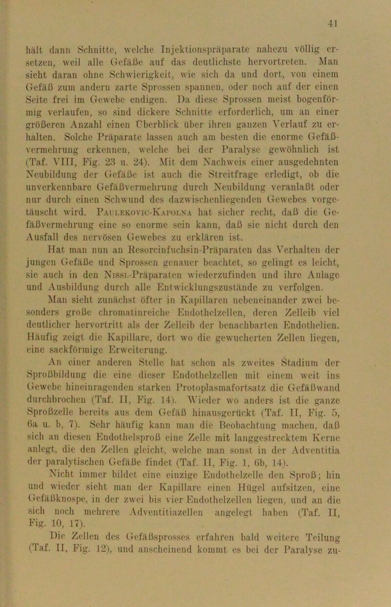 halt, dann Schnitte, welche Injektionspraparate nahezu vollig er- setzen, weil alle GefaBe auf das deutlichste hervortreten. Alan sieht daran oline Schwierigkeit, wie sicli da und dort, von einem Gefafi zum andern zarte Sprossen spannen, oder noch auf der eincn Seite frei im Gewebe endigen. Da diesc Sprossen moist bogenfor- mig verlaufen, so sind dickere Schnitte erforderlich, um an einer grofiercn Anzahl einen Pberblick iibor ihren ganzen Verlauf zu er- halten. Solclie Praparate lassen auch am besten die enorme Gefafi- vermehrung erkennen, welche bei der Paralyse gewohnlich ist (Taf. VIII, Fig. 23 u. 24). Mit dem Nachweis einer ausgedehnten Neubildung der GefaBe ist auch die Streitfrage erledigt, ob die unverkennbarc Gefafivermehrung durch Neubildung veranlaBt oder nur durch einen Schwund des dazwischenliegenden Gewebes vorge- tauscht wird. Paui/kkovic-Kapolna hat sicher reclit, dafi die Ge- faBvermehrung eine so enorme sein kann, daB sie nicht durch den Ausfall des nervoscn Gewebes zu erklaren ist. Hat man nun an Resorcinfuchsin-Praparaten das Verhalten der jungen GefaBe und Sprossen genauer beachtet, so gelingt es leicht, sie auch in den Nissn-Praparaten wiederzufinden und ilirc Anlage und Ausbildung durch alle Kntwicklungszustande zu verfolgen. Man sieht zunachst oftcr in Kapillaren nebeneinander zwei be- sondcrs groBe chromatinreiche Endothelzellen, deren Zellcib viel deutlicher hervortritt als der Zelleib der benachbarten Endothelien. Haufig zeigt die Kapillare, dort wo die gewucherten Zellen liegen, eine sackformige Erwciterung. An einer andcren Stelle hat schon als zweitcs Stadium der SproBbildung die eine dieser Endothelzellen mit einem weit ins Gewebe hineinragcnden starken Protoplasmafortsatz die GefaBwand durchbrochen (Taf. II, Fig. 14). AYieder wo anders ist die gauze SproBzelle bereits aus dem Gefafi hinausgertickt (Taf. II, Fig. 5, Ba u. b, 7). Sehr haufig kann man die Peobachtung machen, daB sicli an diesen EndothelsproB eine Zelle mit langgestrecktem Kerne anlcgt, die den Zellen gleieht, welche man sonst in der Adventitia der paralytischen GefaBe findet (Taf. 11, Fig. 1, 6b, 14). Nicht, immer bildet eine einzige Endothelzelle den SproB; bin und wiedcr sieht man der Kapillare einen Htigel aufsitzen, eine Gefafiknospe, in der zwei bis vier Endothelzellen liegen, und an die sicli noch mehrere Adventitiazellen angelegt haben (Taf. II, Fig. 10, 17). Die Zellen des GefaBsprosses erfahi'en bald weitere rreilung (Taf. If, Fig. 12), und anscheinend kommt es bei der Paralyse zu-