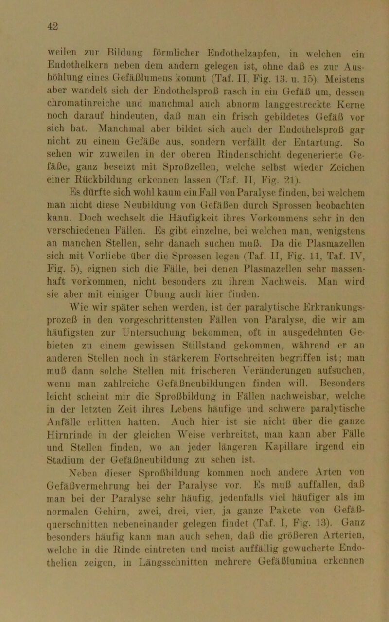 weilen zur Rildung formlicher Endothelzapfen, in welchen ein Endothelkern neben dem andern gelegen ist, oline dafi es zur Aus- hohlung eines Gefafllumens kommt (Taf. II, Fig. 13. u. 15). Meistens abcr wando.lt sich dor Endothelsprofi rasch in ein Gefafi um, desscn chroraatinreiche und manchmal aucli abnorin langgestreckte Kerne nocli darauf hindeuten, dafi man ein frisch gebildetes Gefafi vor sich hat. Manchmal aber bildet sich auch dor Endothelsprofi gar nicht zu einem Gefafie aus, sondern verfallt der Entartung. So sehen wir zuweilen in der oberen Rindenschicht degenerierte Ge- fafle, ganz besetzt mit Sproflzellen, welche solbst wieder Zeichen einer Riickbildung erkennen lassen (Taf. II, Fig. 21). Es diirfte sich wolil kaum ein Fall von Paralyse finden, bei welchem man nicht diese Neubildung von Gefaflen durch Sprossen beobachten kann. Doch wechselt die Haufigkeit ihres Vorkommens sehr in den verschiedenen Fallen. Es gibt einzelne, bei welchen man, wenigstens an manchen Stellen, sehr danach suchen mufi. Da die Plasmazellen sich mit Vorliebe iiber die Sprossen legen (Taf. II, Fig. 11, Taf. IV, Fig. 5), eignen sich die Fade, bei denen Plasmazellen sehr massen- haft vorkommen, nicht besonders zu ilirem Xachweis. Man wild sie aber mit einiger tabling auch hier finden. AVie wir spater sehen werden, ist der paralytische Erkrankungs- prozefi in den vorgeschrittensten Fallen von Paralyse, die wir am haufigsten zur Untersuchung bekommen, oft in ausgedehnten Ge- bieten zu einem gewissen Stillstand gekommen, wiihrend er an anderen Stellen noch in starkerem Fortschreiten begriffen ist; man mufi dann solclie Stellen mit frischeren Yeranderungen aufsuchen, wenn man zahlreiche Gefafineubildungen finden will. Besonders leicht scheint mir die Sprofibildung in Fallen naclnveisbar, welche in der letzten Zeit ihres Lebens haufige und schwere paralytische Anfalle erlittcn hatten. Auch hier ist sie nicht iiber die ganze Hirnrinde in der gleichen AVeise verbreitet, man kann aber Fade und Stellen finden, wo an jeder langeren Kapillare irgend ein Stadium der Gefafineubildung zu sehen ist, Neben dieser Sprofibildung kommen noch andere Arten von Gcfafivermehrung bei der Paralyse vor. Es mufi auffallen, dafi man bei der Paralyse sehr lianfig, jedenfalls viel haufiger als im normalcn Gehirn, zwei, drei, vier, ja gauze Pakete von Gefafi- querschnitten nebeneinander gelegen findet (Taf. I, Fig. 13). Ganz besonders haufig kann man auch sehen, dafi die grdfieren Arterien, welche in die Rinde eintreten und moist auffallig gewucherte Endo- thelien zeigcn, in Langsschnitten mehrere Gefafilumina erkennen