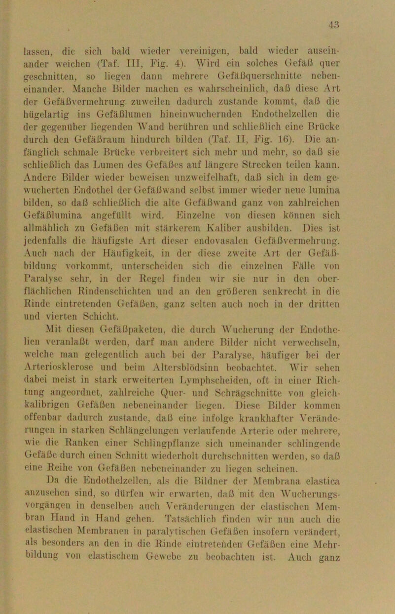 lassen, die .sich bald wieder vereinigen, bald vvieder ausein- ander weichen (Taf. Ill, Fig. 4). Wild ein solches GefaB quer geschnitten, so liogen daim mehrere GefaBquerschnitte neben- einander. Manche Bilder machen es wahrscheinlich, dafi diese Art der GefaBvermehrung. zuweilen dadurch zustande komint, daB die hiigelartig ins Gefafilumen hineinwuchernden Endothelzellen die der gegeniibei liegenden Wand bertthren und schlieBlich einc Brtickc durch den Gefaflraum hindurch bilden (Taf. II, Fig. 16). Die an- fanglich schmale Briicke verbreitert sicli mehr und melir, so daB sie schlieBlich das Lumen des GefaBes auf langere Strecken teilen kann. Andere Bilder wieder beweisen unzweifelhaft, daB sich in deni ge- wucherten Endothel derGefaBwand sclbst immer wieder neue lumina bilden, so daB schlieBlich die alte GefaBwand ganz von zahlreichen GefaBlumina angefiillt wird. Einzelne von diesen konnen sich allmahlich zu GefaBen mit starkerem Kaliber ausbilden. Dies ist jedenfalls die haufigste Art dieser endovasalen GefaBvermehrung. Audi nach der Haufigkeit, in der diese zweite Art der GefaB- bildung vorkommt, unterscheiden sich die einzelnen Falle von Paralyse sehr, in der Hegel finden wir sie nur in den ober- flachlichen Rindenschichtcn und an den groBeren senkrecht in die Hinde eintretenden GefaBen, ganz selten auch noch in der dritten und vierten Schicht. Mit diesen GefaBpaketen, die durch Wucherung der Endothe- lien veranlaBt werden, darf man andere Bilder nicht verwechseln, wclche man gelegentlich auch bei der Paralyse, haufiger bei der Arteriosklerose und beim Altersblodsinn beobachtet. Wir sehen dabei meist in stark crweitertcn Lymphscheiden, oft in einer Hich- tung angeordnet, zahlreiche Quer- und Schragschnitte von gleicli- kalibrigen GefaBen nebeneinander liegen. Diese Bilder kommen offenbar dadurch zustande, daB eine infolge krankhafter \*cr;inde- rungen in starken Schlangelungen verlaufende Arterie oder mehrere, wie die Ranken einer Schlingpflanze sich umeinander schlingende GefaBe durch cinen Schnitt wiederholt durchschnitten werden, so daB eine Reilie von GefaBen nebeneinander zu liegen scheinen. Da die Endothelzellen, als die Bildner der Membrana elastica anzusehen sind, so diirfen wir erwarten, daB mit den W'ucherungs- vorgangen in denselben auch Yeranderungen der clastischen Mem- bran Hand in Hand gehen. Tatsachlich finden wir nun auch die elastischen Membranen in paralytischen GefaBen insofern verandert, als besonders an den in die Hinde eintretenden GefaBen eine Mehr- bildung von elastischem Gewebe zu beobachten ist. Auch ganz