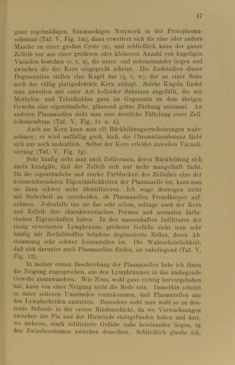 ganz regelmaBigen, feinmaschigen Netzwerk in der Protoplasma- substanz (Taf. V, Fig. lm), dann erweitert sich die eine oder andere Masche zu einer groflen Cyste (n), und schlieBlich kann der gauze Zelleib nur aus einer groBeren oder kleineren Anzahl von kugeligen Vacuolen bestehen (o, r, u), die unter- und nebeneinander liegen und zwischen die der Kern eingepreBt scheint. Die Endstadien dieser Degeneration stellen eine Kugel dar (q, t, w), der an einer Seite noch der vollig plattgedrtickte Kern anliegt. Solche Kugeln findet man zuweilen mit einer Art kolloider Substanz angefiillt, die mit Methylen- und Toluidinblau ganz im Gegensatz zu deni iibrigen Gewebe eine eigentilmliche, glanzend grime Farbung annimmt. An anderen Plasmazellen sieht man eine deutliche Faltelung einer Zell- leibsmembran (Taf. V, Fig. lv u. x). Audi am Kern kann man oft Piickbildungserscheinungen wahr- nehmen; er wild auffallig grofi, blaC, die Chromatinsubstanz farbt sich nur nocli undeutlich. Selbst der Kern erleidet zuweilen Vacuoli- sierung (Taf. V, Fig. Ip). Sehr liaufig sieht man aucli Zellformen, deren Etickbildung sich darin kundgibt, daB der Zelleib sich nur mehr mangelhaft farbt. Da die eigentumliche und starke Farbbarkeit des Zelleibes eine der kennzeichnendsten Eigen ttimlichkei ten der Plasmazelle ist, kann man sie dann schwer mehr identifizieren. Tch wage deswegen nicht mit Sicherheit zu entscheiden, ob Plasmazellen Fremdkorper auf- nehmen. Jedenfalls tun sie das sehr selten, solange noch der Kern und Zelleib ihre charakteristischen Formen und normalen farbe- rischen Eigenschaften haben. Tn den massenhaften Infiltraten der riesig erweiterten Lymphraume groBerer GefaBe sieht man sehr liaufig mit Zerfallstoffen beladene degenerierte Zellen, deren Ab- stammung sehr schwer festzustellen ist. Die Wahrscheinlichkeit, daB sich darunter auch Plasmazellen finden, ist naheliegend (Taf. V, Fig. 12). In meiner ersten Beschreibung der Plasmazellen babe ich ihnen die Xeigung zugesproclien, aus den Lymphraumcn in das umliegende Gewebe auszuwandern. Wie Nissl wohl ganz richtig liervorgehoben hat, kann von einer Neigung nicht die Rede sein. Immerhin scheint es unter seltenen Umstanden vorzukommen, daB Plasmazellen aus den Lymphscheiden austreten. Besonders sieht man wohl so zu deu- tende Befunde in der ersten Rindenschicht, da wo Verwachsungen zwischen der Pia und der Hirnrinde stattgefunden haben und dort, wo mehrere, stark infiltrierte GefaBe nahe beieinander liegen, in den Zwischenraumen zwischen denselben. SchlieBlich glaube ich,