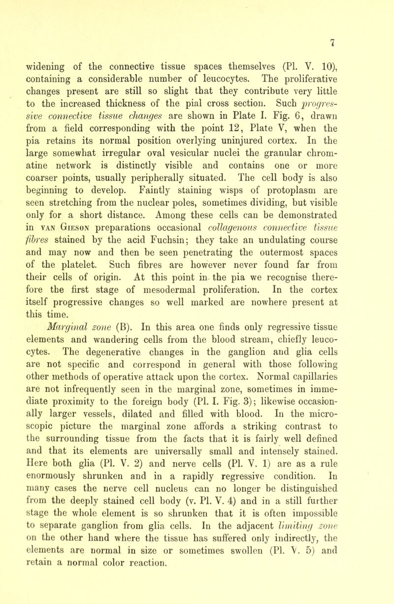 widening of the connective tissue spaces themselves (PL V. 10), containing a considerable number of leucocytes. The proliferative changes present are still so slight that they contribute very little to the increased thickness of the pial cross section. Such progres- sive connective tissue changes are shown in Plate I. Fig. 6, drawn from a field corresponding with the point 12, Plate V, when the pia retains its normal position overlying uninjured cortex. In the large somewhat irregular oval vesicular nuclei the granular chrom- atine network is distinctly visible and contains one or more coarser points, usually peripherally situated. The cell body is also beginning to develop. Faintly staining wisps of protoplasm are seen stretching from the nuclear poles, sometimes dividing, but visible only for a short distance. Among these cells can be demonstrated in VAN Gieson preparations occasional collagenous connective tissue fibres stained by the acid Fuchsin; they take an undulating course and may now and then be seen penetrating the outermost spaces of the platelet. Such fibres are however never found far from their cells of origin. At this point in- the pia we recognise there- fore the first stage of mesodermal proliferation. In the cortex itself progressive changes so well marked are nowhere present at this time. Marginal ^one (B). In this area one finds only regressive tissue elements and wandering cells from the blood stream, chiefly leuco- cytes. The degenerative changes in the ganglion and glia cells are not specific and correspond in general with those following other methods of operative attack upon the cortex. Normal capillaries are not infrequently seen in the marginal zone, sometimes in imme- diate proximity to the foreign body (PI. I. Fig. 3); likewise occasion- ally larger vessels, dilated and filled with blood. In the micro- scopic picture the marginal zone affords a striking contrast to the surrounding tissue from the facts that it is fairly well defined and that its elements are universally small and intensely stained. Here both glia (PI. V. 2) and nerve cells (PI. V. 1) are as a rule enormously shrunken and in a rapidly regressive condition. In many cases the nerve cell nucleus can no longer be distinguished from the deeply stained cell body (v. PI. V. 4) and in a still further stage the whole element is so shrunken that it is often impossible to separate ganglion from glia cells. In the adjacent limiting zone on the other hand where the tissue has suffered only indirectl}^, the elements are normal in size or sometimes swollen (PI. \. 5) and retain a normal color reaction.