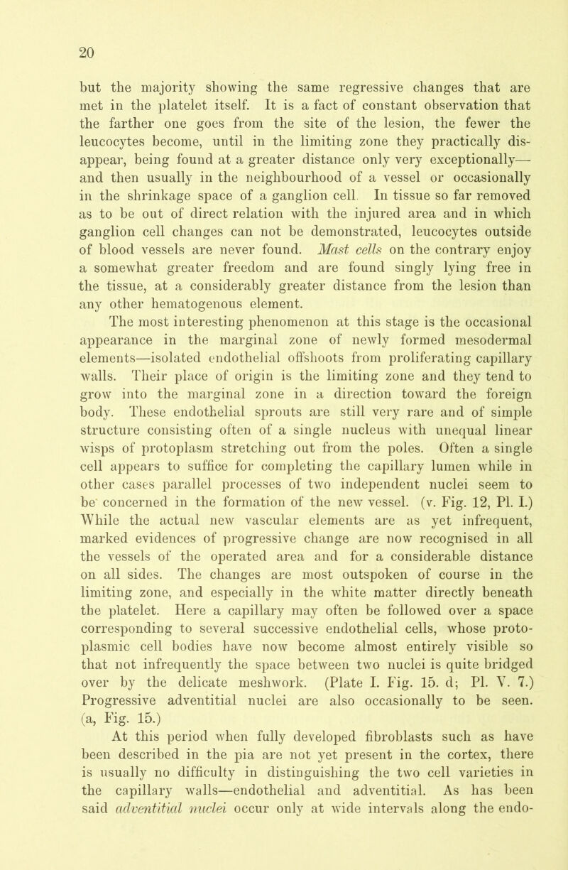 but the majority showing the same regressive changes that are met in the platelet itself. It is a fact of constant observation that the farther one goes from the site of the lesion, the fewer the leucocytes become, until in the limiting zone they practically dis- appear, being found at a greater distance only very exceptionally— and then usually in the neighbourhood of a vessel or occasionally in the shrinkage space of a ganglion cell. In tissue so far removed as to be out of direct relation with the injured area and in which ganglion cell changes can not be demonstrated, leucocytes outside of blood vessels are never found. Mast cells on the contrary enjoy a somewhat greater freedom and are found singly lying free in the tissue, at a considerably greater distance from the lesion than any other hematogenous element. The most interesting phenomenon at this stage is the occasional appearance in the marginal zone of newly formed mesodermal elements—isolated endothelial offshoots from proliferating capillary walls. Their place of origin is the limiting zone and they tend to grow into the marginal zone in a direction toward the foreign body. These endothelial sprouts are still very rare and of simple structure consisting often of a single nucleus with unequal linear wisps of protoplasm stretching out from the poles. Often a single cell appears to suffice for completing the capillary lumen while in other cases parallel processes of two independent nuclei seem to be' concerned in the formation of the new vessel, (v. Fig. 12, PI. I.) While the actual new vascular elements are as yet infrequent, marked evidences of progressive change are now recognised in all the vessels of the operated area and for a considerable distance on all sides. The changes are most outspoken of course in the limiting zone, and especially in the white matter directly beneath the platelet. Here a capillary may often be followed over a space corresponding to several successive endothelial cells, whose proto- plasmic cell bodies have now become almost entirely visible so that not infrequently the space between two nuclei is quite bridged over by the delicate meshwork. (Plate I. Fig. 15. d; PL V. 7.) Progressive adventitial nuclei are also occasionally to be seen, (a, Fig. 15.) At this period when fully developed fibroblasts such as have been described in the pia are not yet present in the cortex, there is usually no difficulty in distinguishing the two cell varieties in the capillary walls—endothelial and adventitial. As has been said adventitial nuclei occur only at wide intervals along the endo-