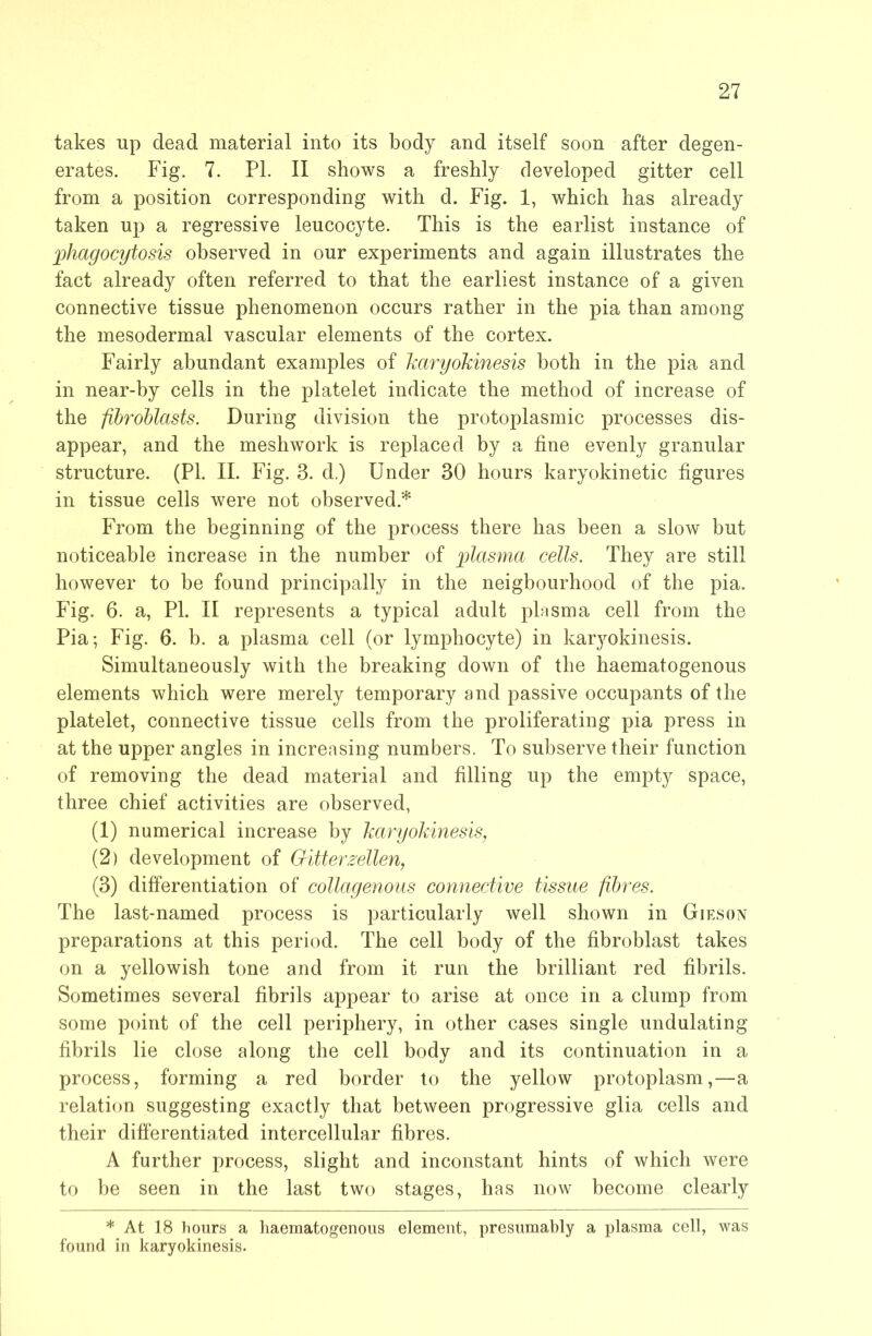 takes up dead material into its body and itself soon after degen- erates. Fig. 7. PI. II shows a freshly developed gitter cell from a position corresponding with d. Fig. 1, which has already taken up a regressive leucocyte. This is the earlist instance of phagocytosis observed in our experiments and again illustrates the fact already often referred to that the earliest instance of a given connective tissue phenomenon occurs rather in the pia than among the mesodermal vascular elements of the cortex. Fairly abundant examples of haryokinesis both in the pia and in near-by cells in the platelet indicate the method of increase of the fihrohlasts. During division the protoplasmic processes dis- appear, and the meshwork is replaced by a fine evenly granular structure. (PL II. Fig. 3. d.) Under 30 hours karyokinetic figures in tissue cells were not observed.* From the beginning of the process there has been a slow but noticeable increase in the number of plasma cells. They are still however to be found principally in the neigbourhood of the pia. Fig. 6. a, PI. II represents a typical adult phisma cell from the Pia; Fig. 6. b. a plasma cell (or lymphocyte) in kar}mkinesis. Simultaneously with the breaking down of the haematogenous elements which were merely temporary and passive occupants of the platelet, connective tissue cells from the proliferating pia press in at the upper angles in increasing numbers. To subserve their function of removing the dead material and filling up the empty space, three chief activities are observed, (1) numerical increase by karyokinesis, (2) development of Oitterzellen, (3) differentiation of collagenous connective tissue fibres. The last-named process is particularly well shown in Gieson preparations at this period. The cell body of the fibroblast takes on a yellowish tone and from it run the brilliant red fibrils. Sometimes several fibrils appear to arise at once in a clump from some point of the cell periphery, in other cases single undulating fibrils lie close along the cell body and its continuation in a process, forming a red border to the yellow protoplasm,—a relation suggesting exactly that between progressive glia cells and their differentiated intercellular fibres. A further process, slight and inconstant hints of which were to be seen in the last two stages, has now become clearly * At 18 hours a haematogenous element, presumably a plasma cell, was found in karyokinesis.