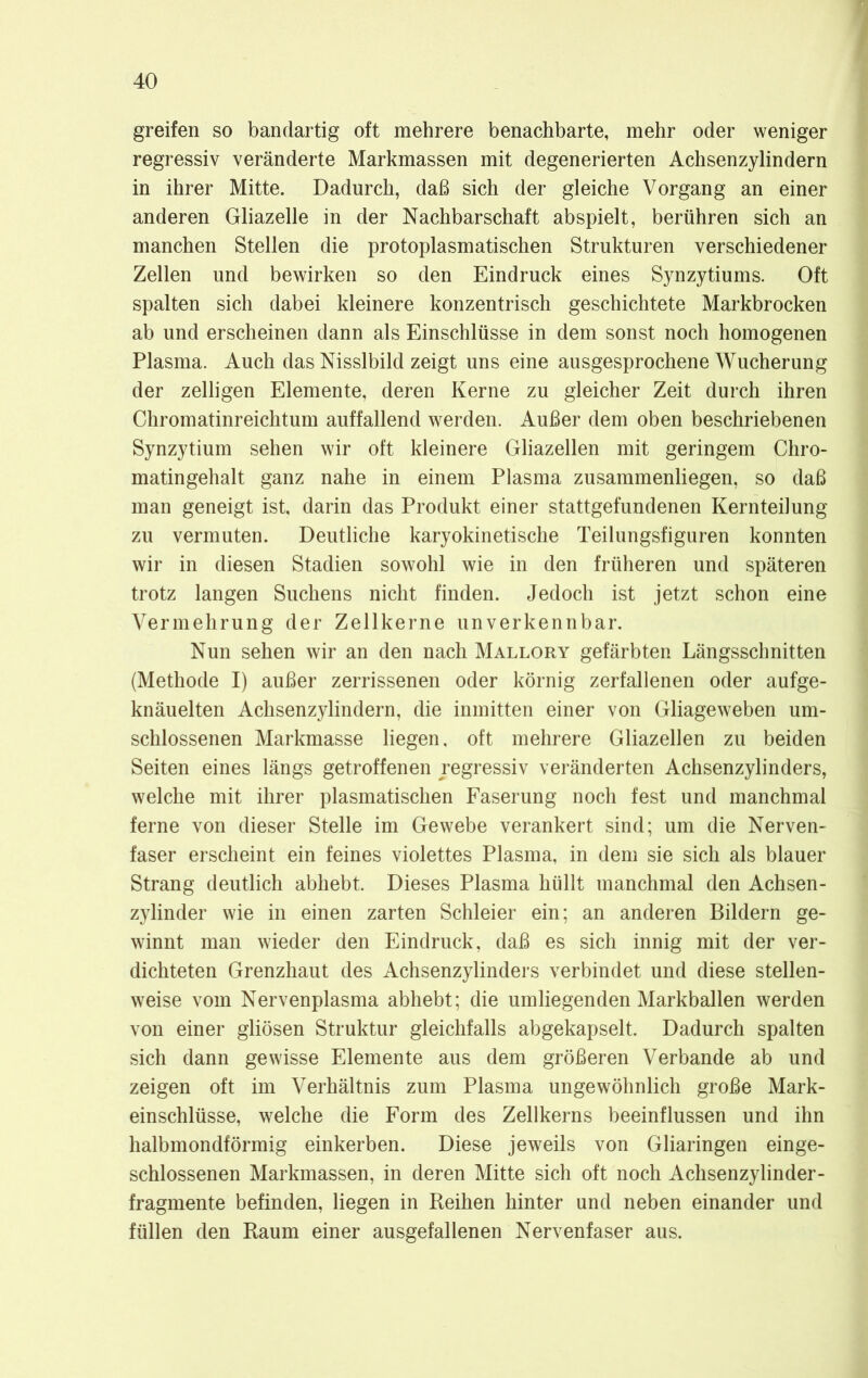 greifen so bandartig oft mehrere benachbarte, mehr oder weniger regressiv veränderte Markmassen mit degenerierten Achsenzylindern in ihrer Mitte. Dadurch, daß sich der gleiche Vorgang an einer anderen Gliazelle in der Nachbarschaft abspielt, berühren sich an manchen Stellen die protoplasmatischen Strukturen verschiedener Zellen und bewirken so den Eindruck eines Synzytiums. Oft spalten sich dabei kleinere konzentrisch geschichtete Markbrocken ab und erscheinen dann als Einschlüsse in dem sonst noch homogenen Plasma. Auch das Nisslbild zeigt uns eine ausgesprochene Wucherung der zelligen Elemente, deren Kerne zu gleicher Zeit durch ihren Chromatinreichtum auffallend werden. Außer dem oben beschriebenen Synzytium sehen wir oft kleinere Gliazellen mit geringem Chro- matingehalt ganz nahe in einem Plasma zusammenliegen, so daß man geneigt ist, darin das Produkt einer stattgefundenen Kernteilung zu vermuten. Deutliche karyokinetische Teilungsfiguren konnten wir in diesen Stadien sowohl wie in den früheren und späteren trotz langen Suchens nicht finden. Jedoch ist jetzt schon eine Vermehrung der Zellkerne unverkennbar. Nun sehen wir an den nach Mallory gefärbten Längsschnitten (Methode I) außer zerrissenen oder körnig zerfallenen oder aufge- knäuelten Achsenzylindern, die inmitten einer von Gliageweben um- schlossenen Markmasse liegen, oft mehrere Gliazellen zu beiden Seiten eines längs getroffenen regressiv veränderten Achsenzylinders, welche mit ihrer plasmatischen Faserung noch fest und manchmal ferne von dieser Stelle im Gewebe verankert sind; um die Nerven- faser erscheint ein feines violettes Plasma, in dem sie sich als blauer Strang deutlich abhebt. Dieses Plasma hüllt manchmal den Achsen- zylinder wie in einen zarten Schleier ein; an anderen Bildern ge- winnt man wieder den Eindruck, daß es sich innig mit der ver- dichteten Grenzhaut des Achsenzylinders verbindet und diese stellen- weise vom Nervenplasma abhebt; die umliegenden Markballen werden von einer gliösen Struktur gleichfalls abgekapselt. Dadurch spalten sich dann gewisse Elemente aus dem größeren Verbände ab und zeigen oft im Verhältnis zum Plasma ungewöhnlich große Mark- einschlüsse, welche die Form des Zellkerns beeinflussen und ihn halbmondförmig einkerben. Diese jeweils von Gliaringen einge- schlossenen Markmassen, in deren Mitte sich oft noch Achsenzylinder- fragmente befinden, liegen in Reihen hinter und neben einander und füllen den Raum einer ausgefallenen Nervenfaser aus.